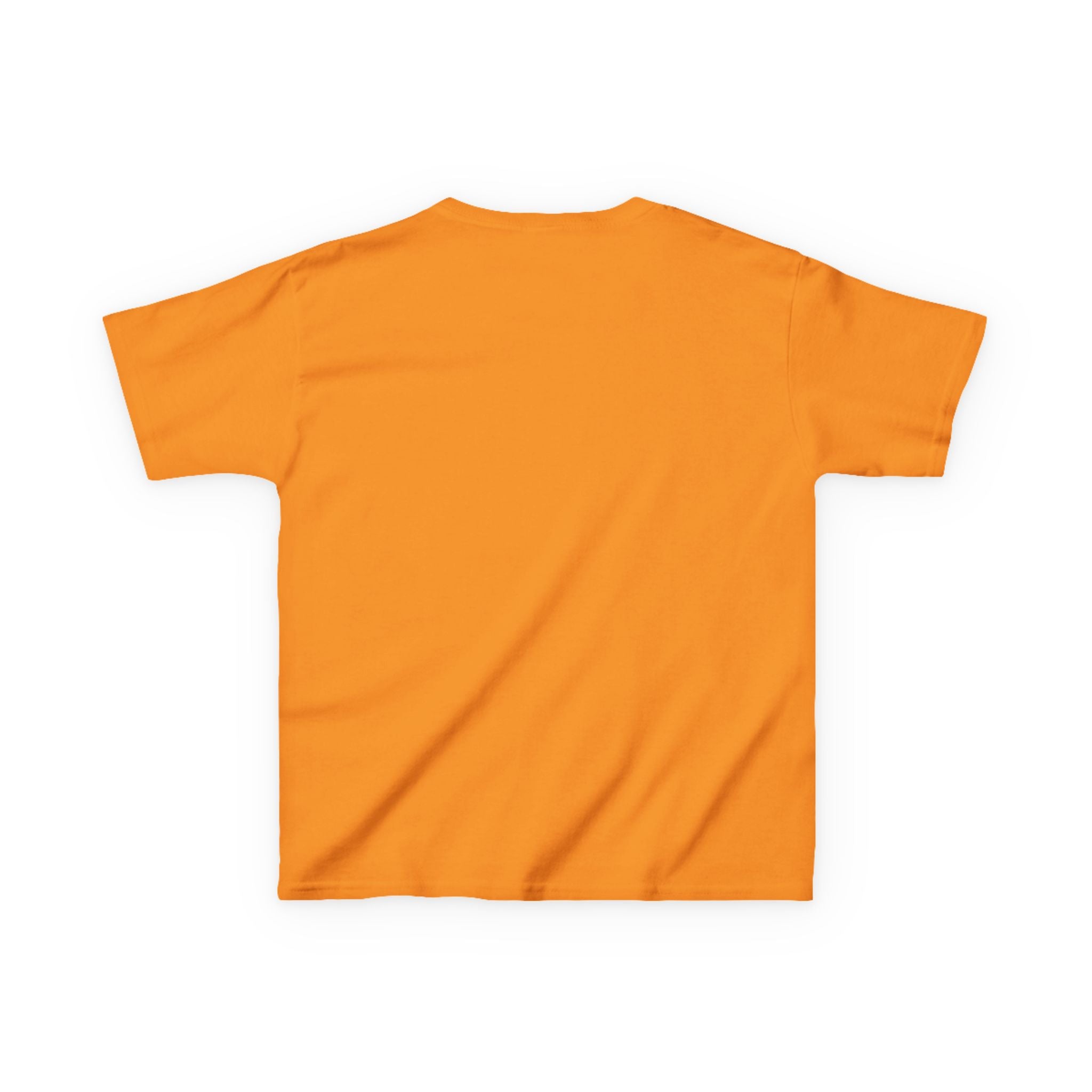 Gnome 4th of July Tee Shirt