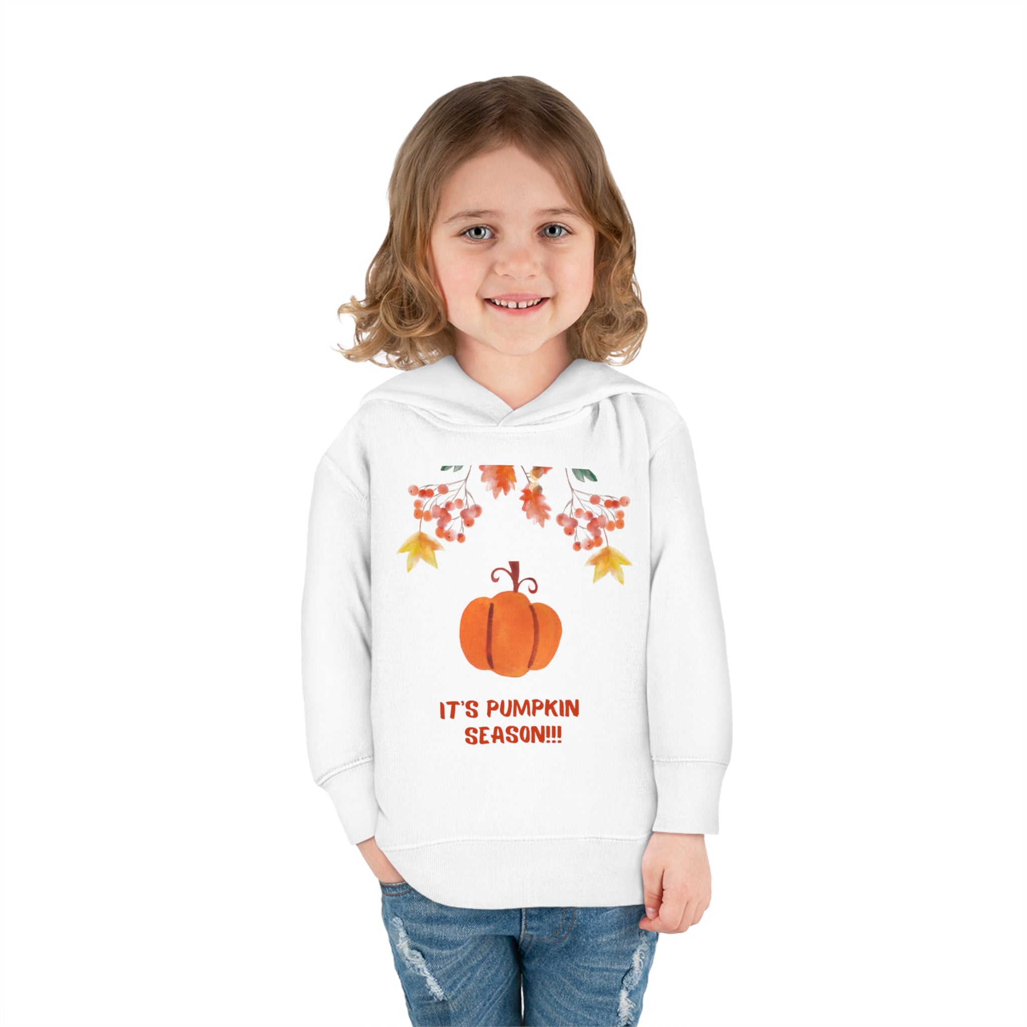 Pumpkin Season Toddler Pullover Fleece Hoodie