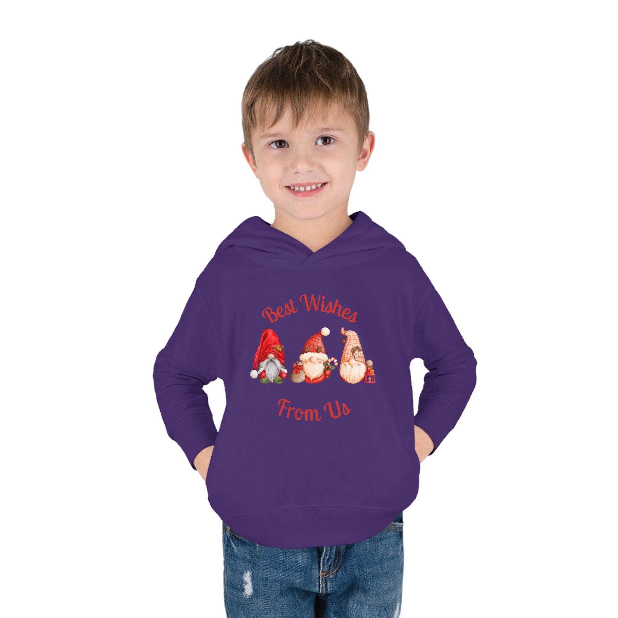 Gnome Best Wishes Toddler Pullover Fleece Hoodie