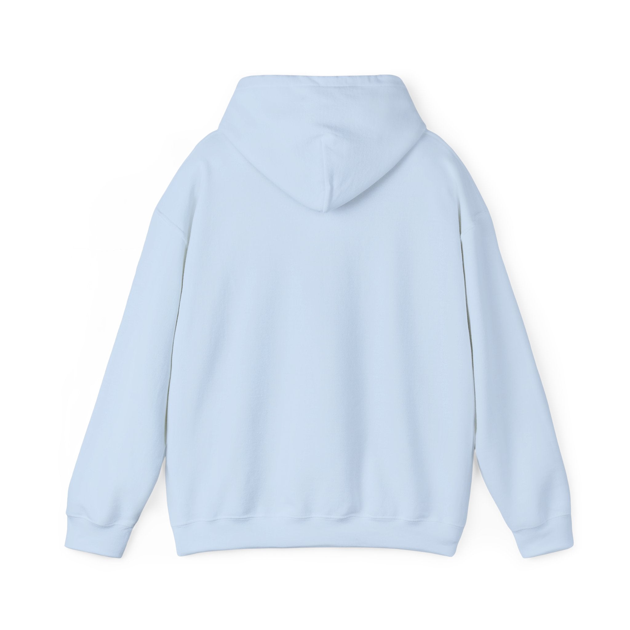 Chick Happy Easter Hooded Sweatshirt