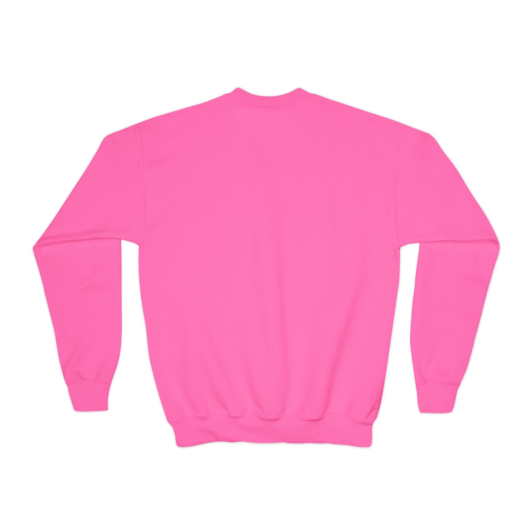 Chick Happy Easter Youth Crewneck Sweatshirt