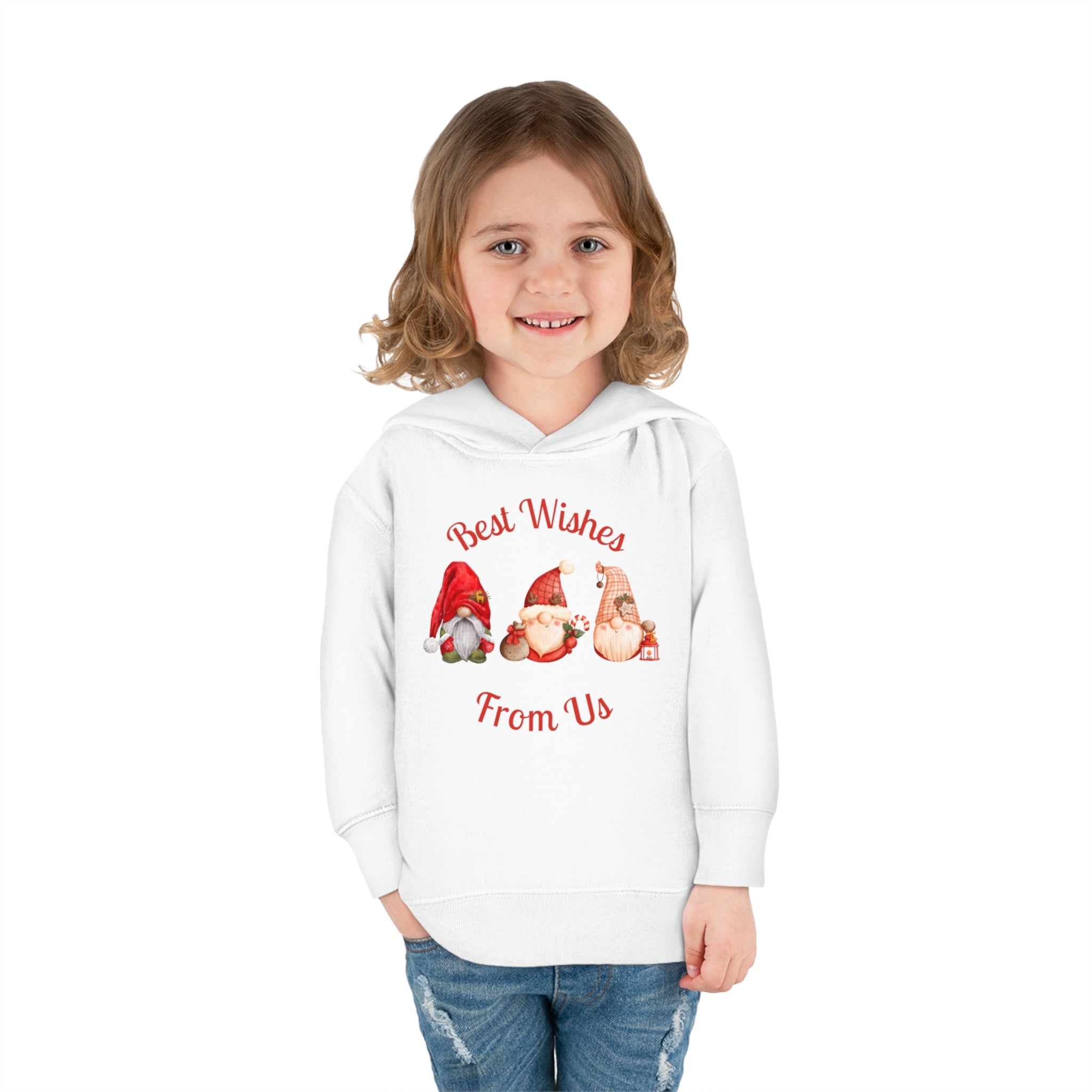 Gnome Best Wishes Toddler Pullover Fleece Hoodie