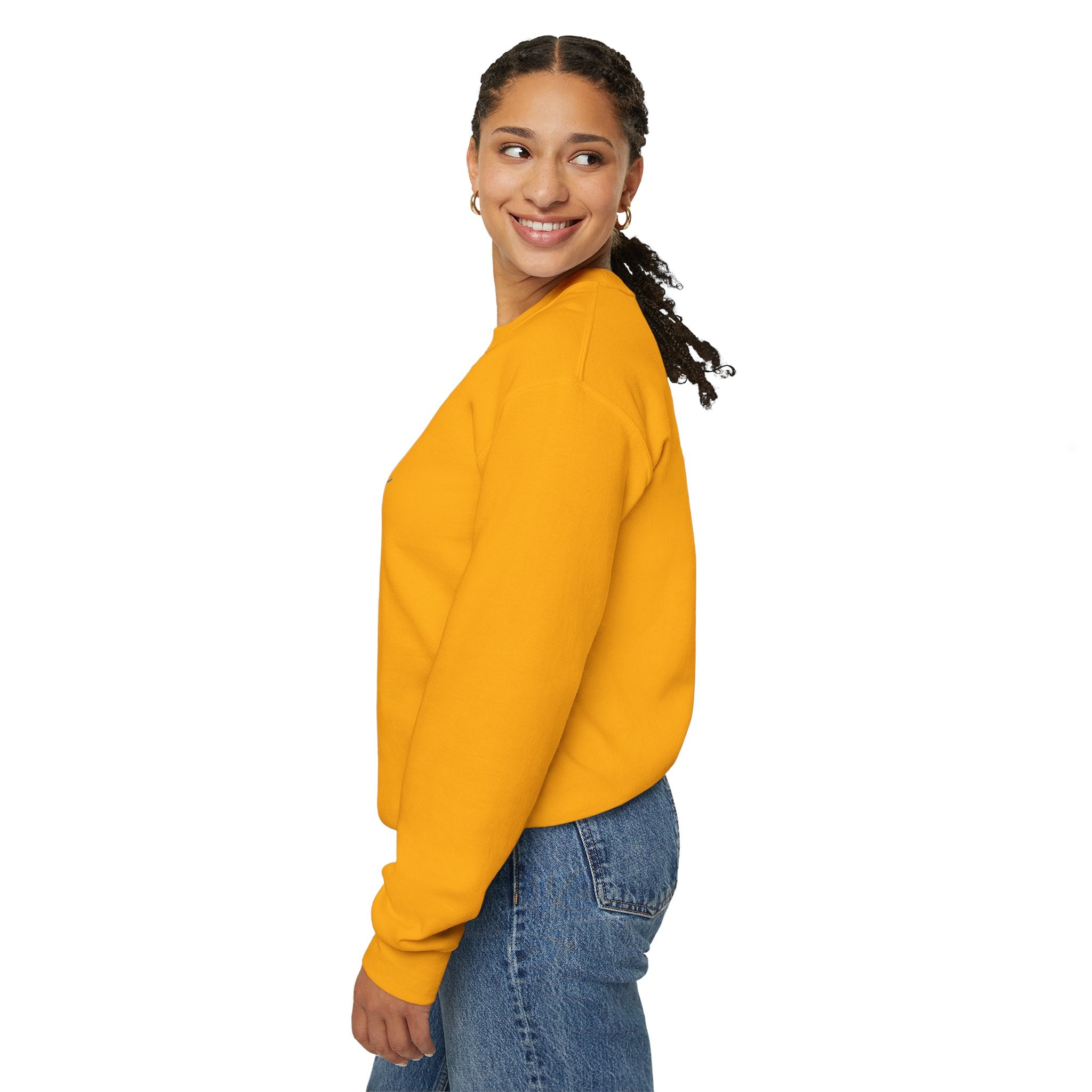 Gnome Memorial Day  Sweatshirt, Unisex Crewneck