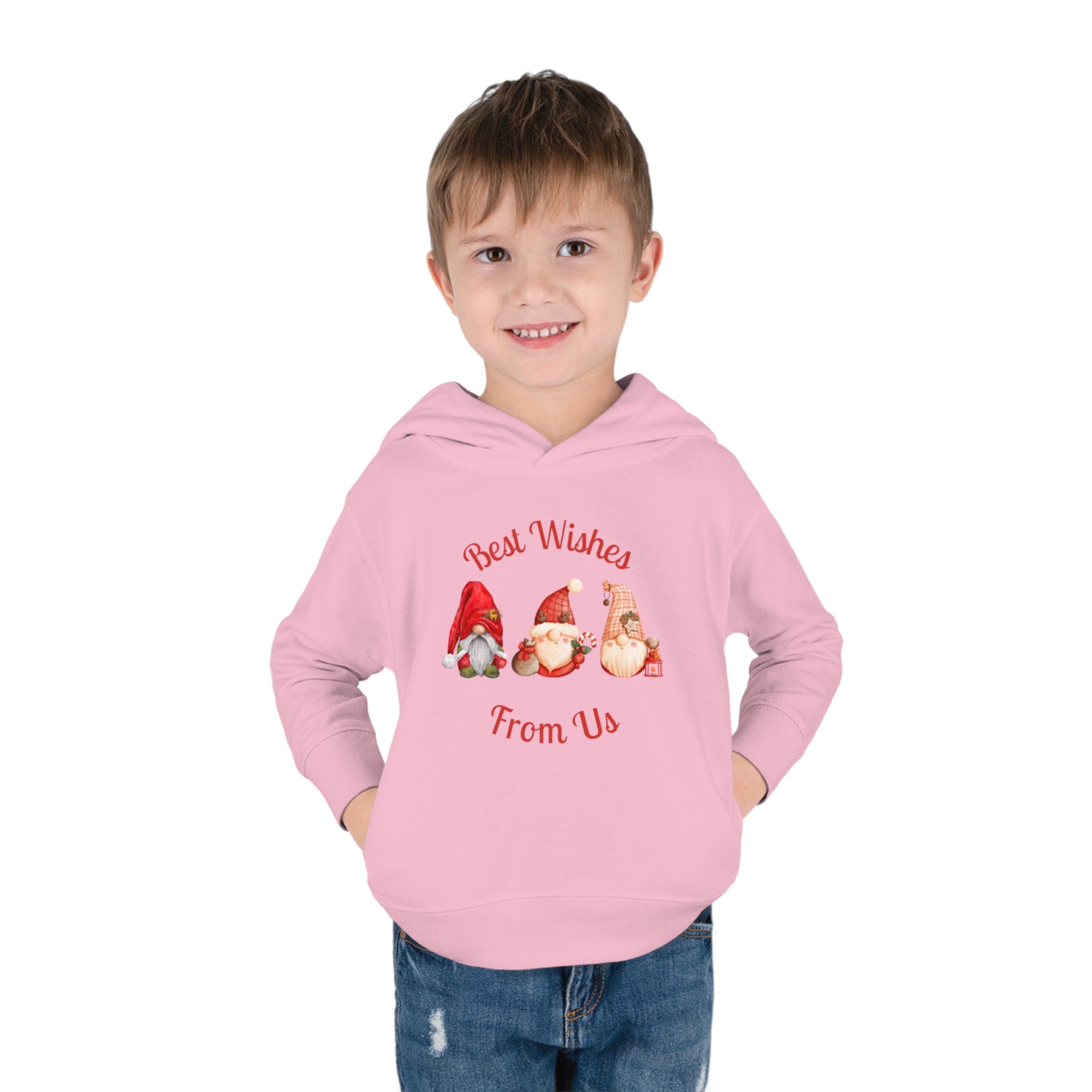 Gnome Best Wishes Toddler Pullover Fleece Hoodie