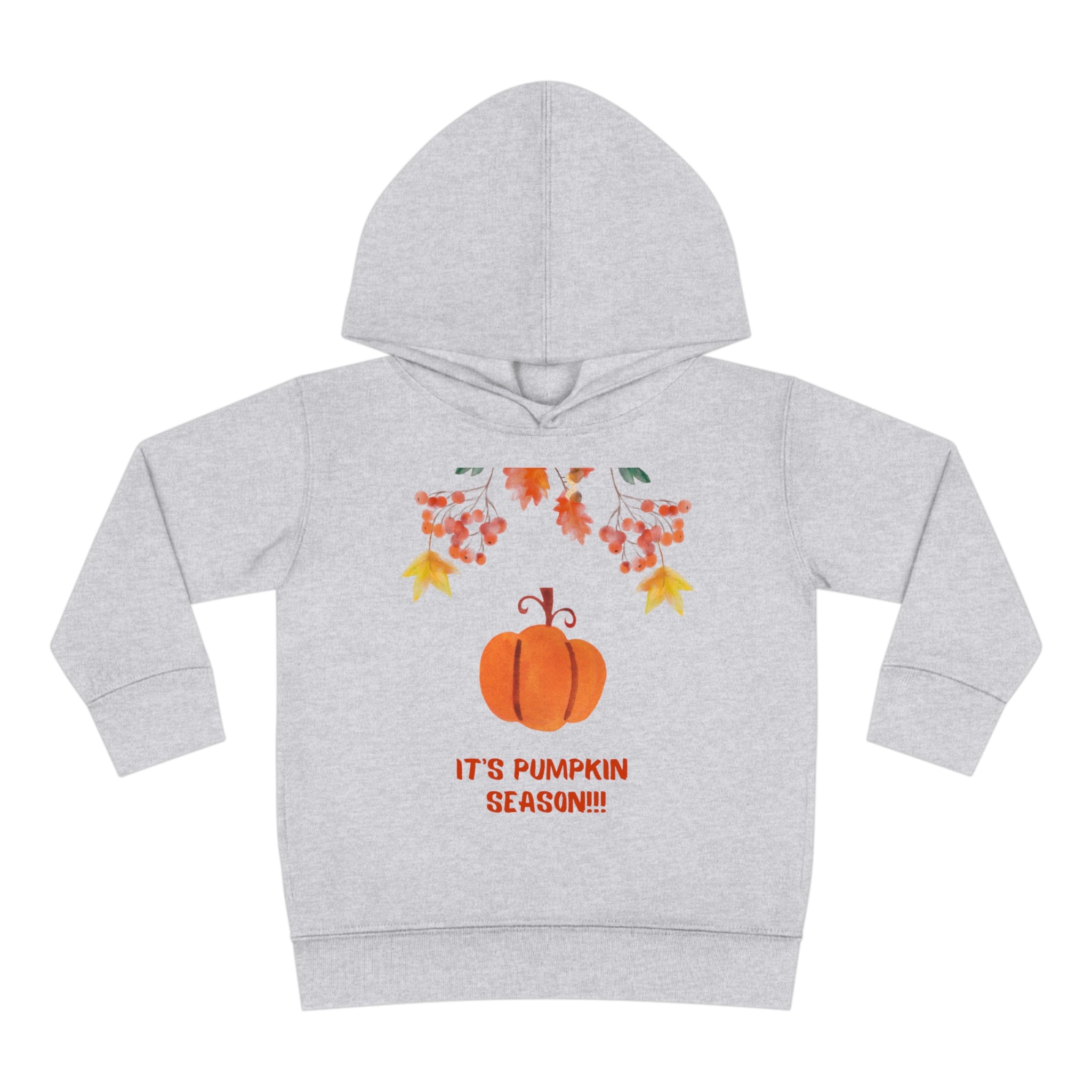 Pumpkin Season Toddler Pullover Fleece Hoodie