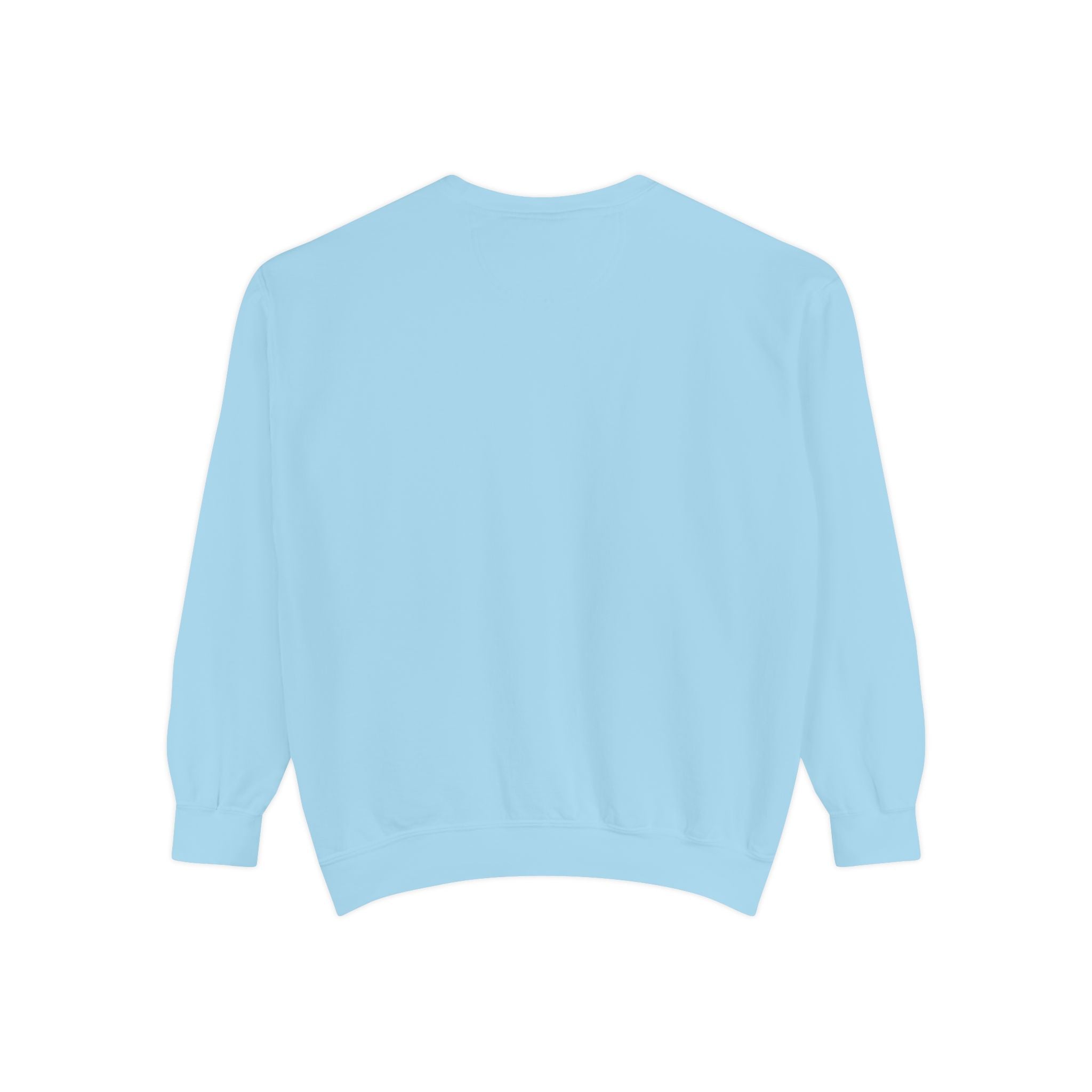T-Pish'-T Day Prank Cartoon Sweatshirt