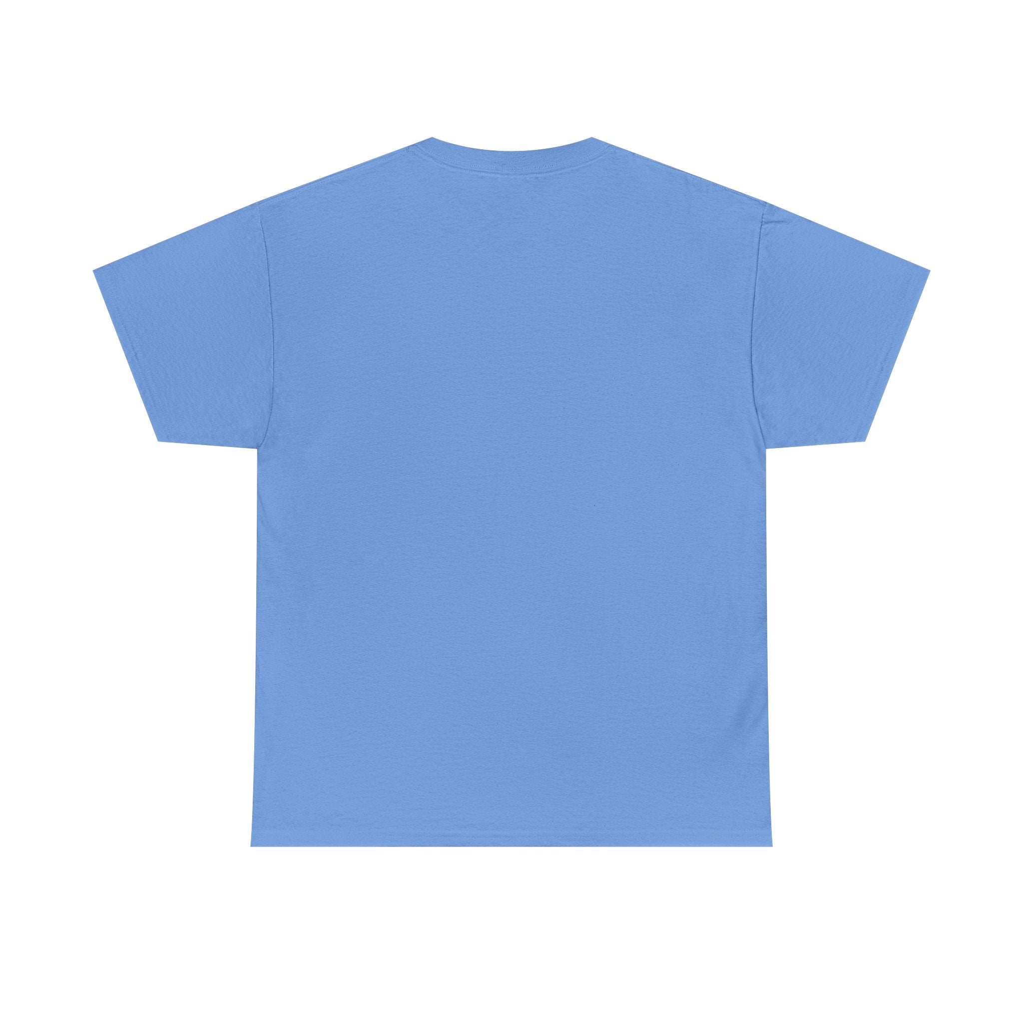 Gnome 4th of July Unisex Heavy Common Tee