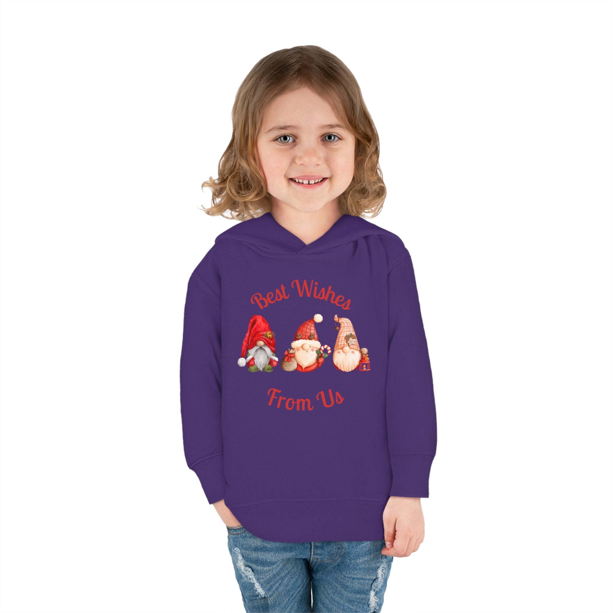 Gnome Best Wishes Toddler Pullover Fleece Hoodie
