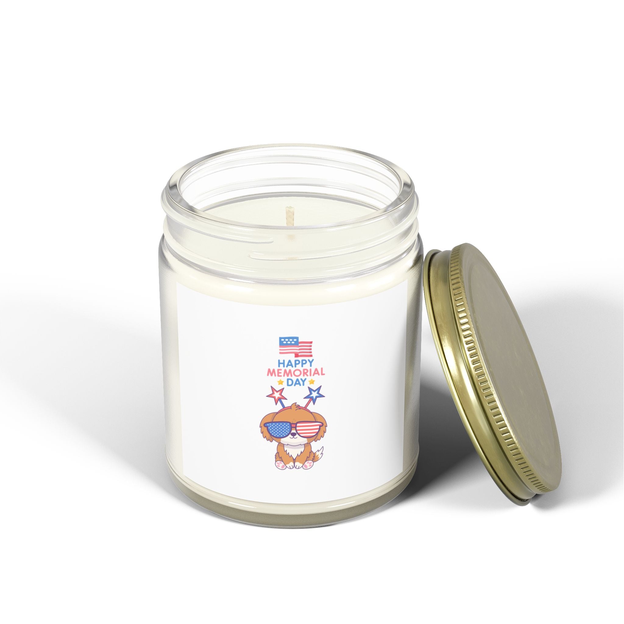 A Day To Remember Scented Candle - Coconut Apricot Wax (4oz, 9oz)