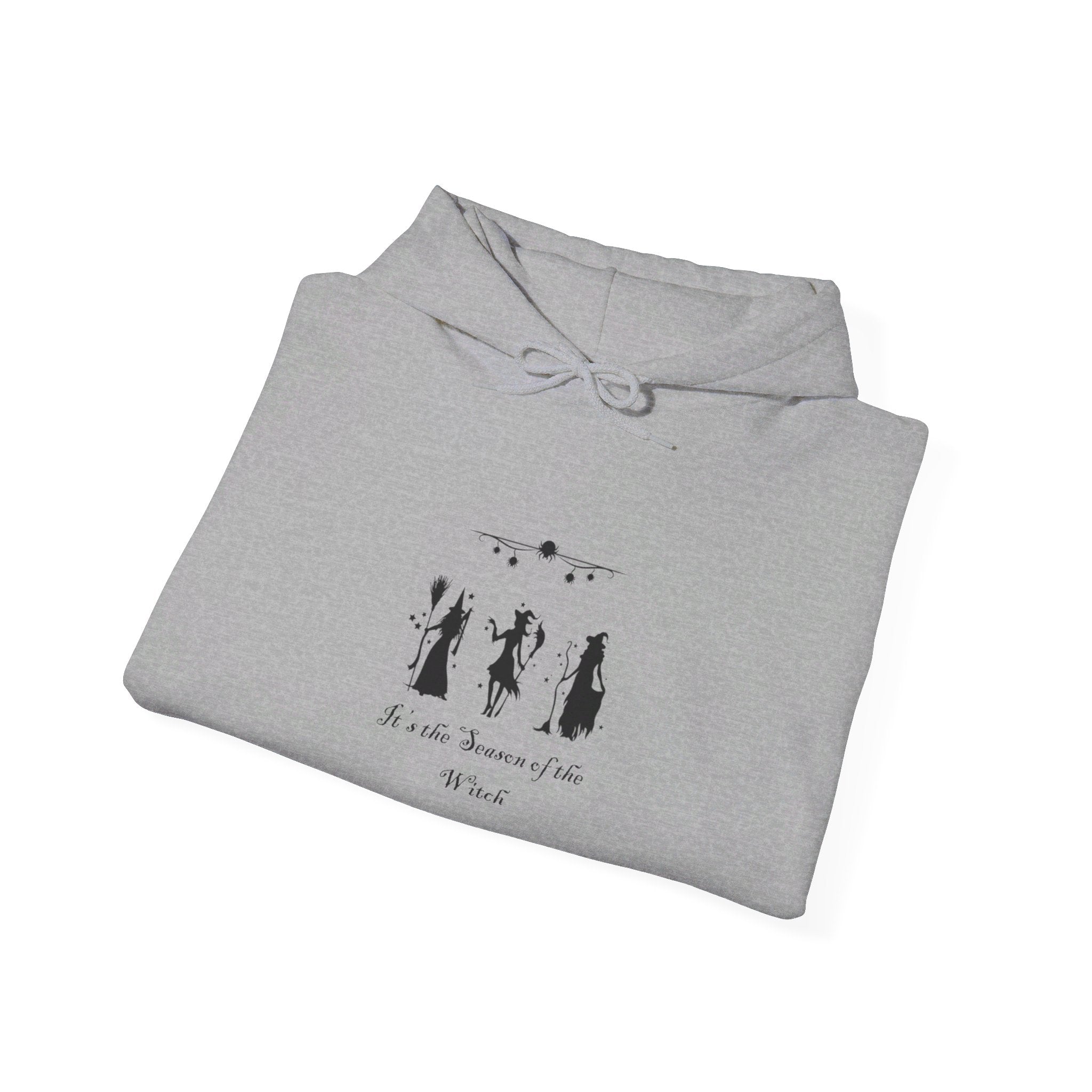 It's The Season of the Witch Unisex Heavy Blend™ Hooded Sweatshirt