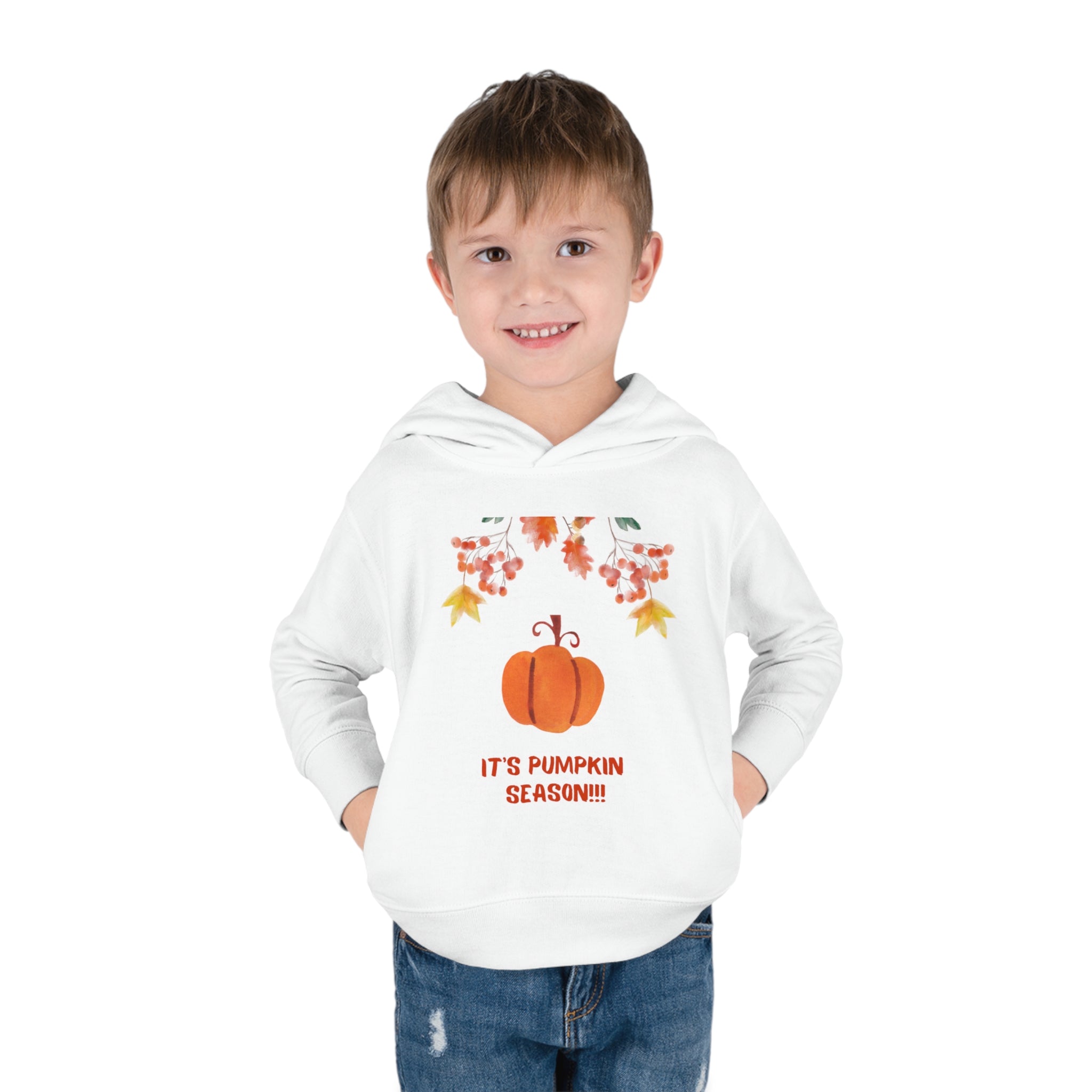 Pumpkin Season Toddler Pullover Fleece Hoodie