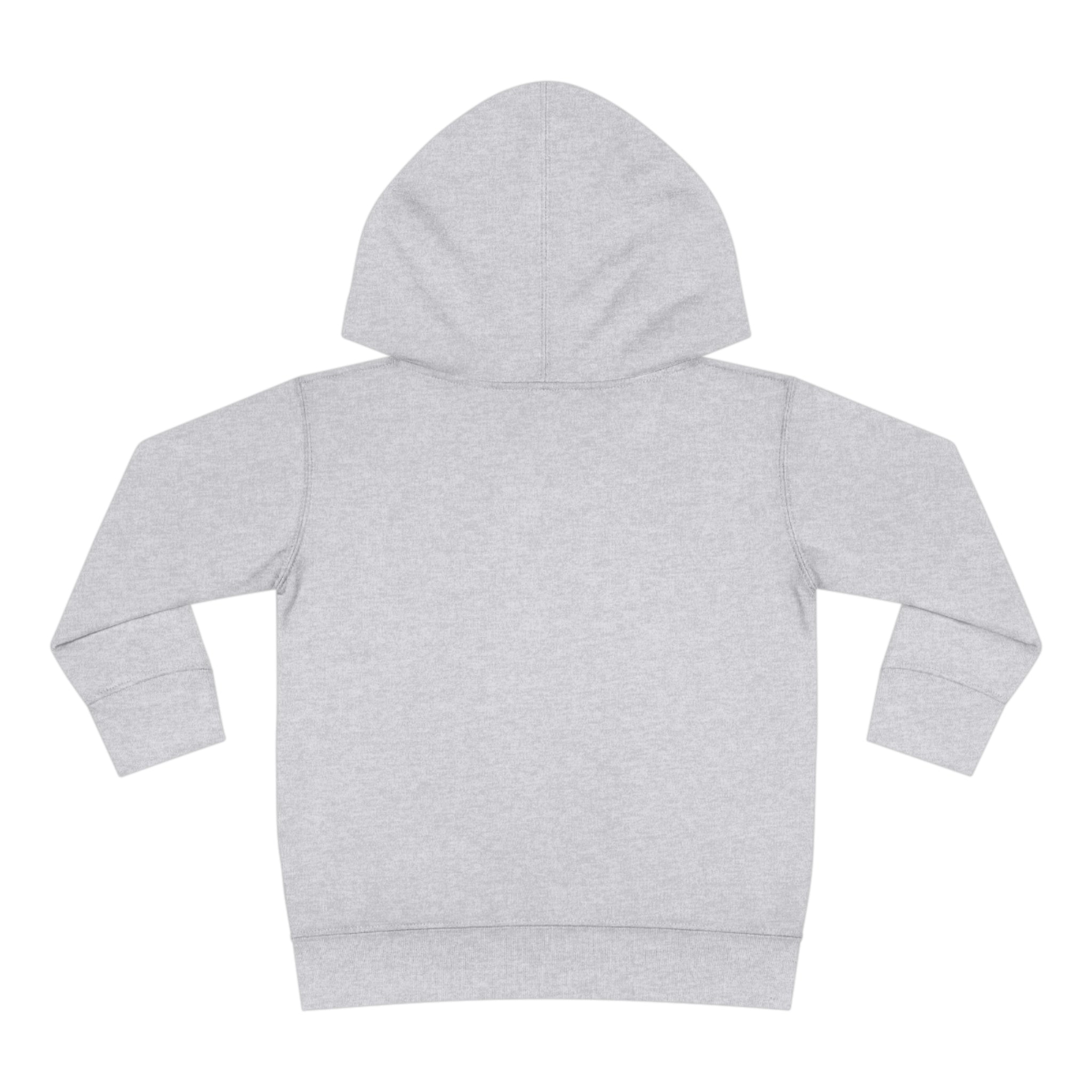 Back To School Toddler Pullover Fleece Hoodie