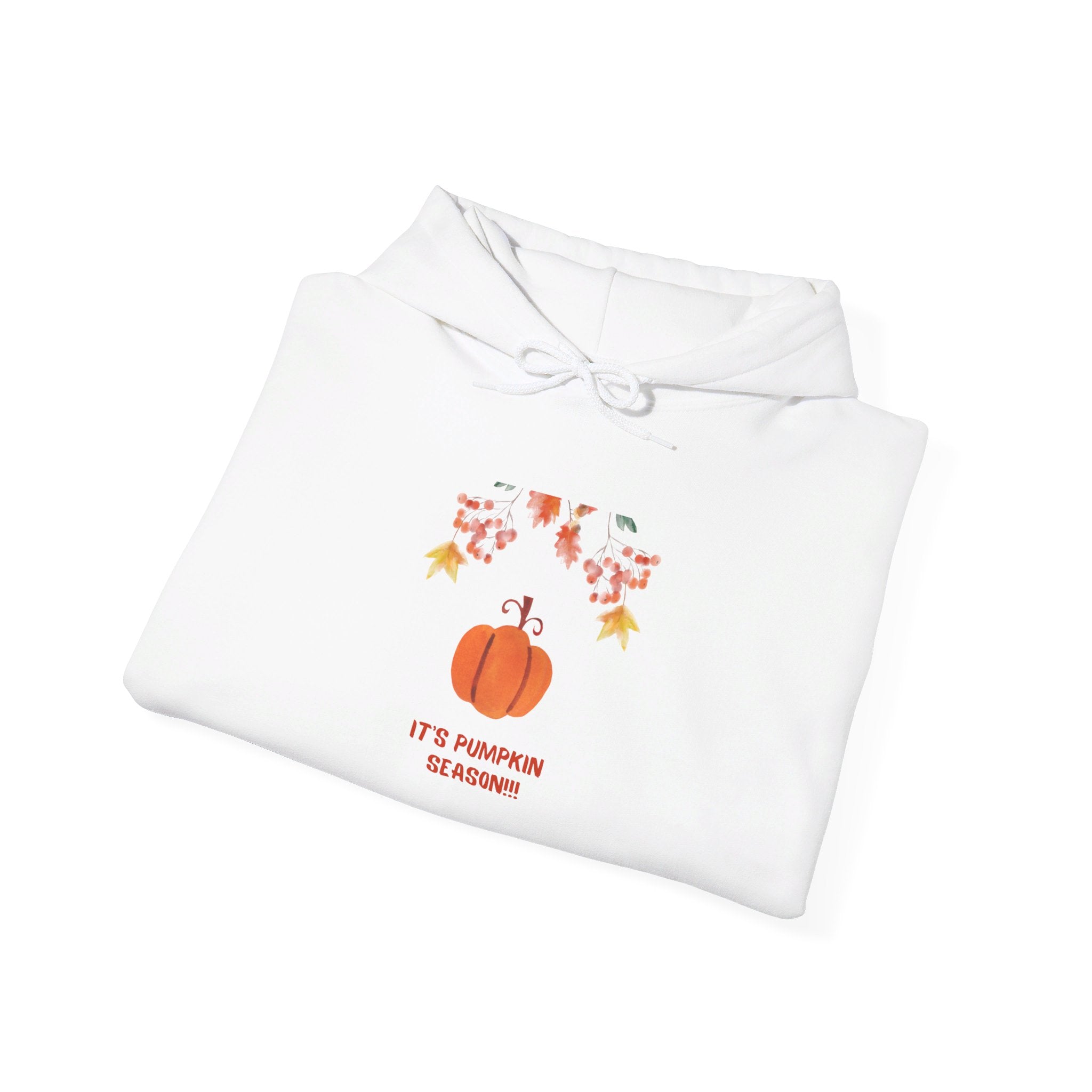 Pumpkin Season Unisex Heavy Blend™ Hooded Sweatshirt