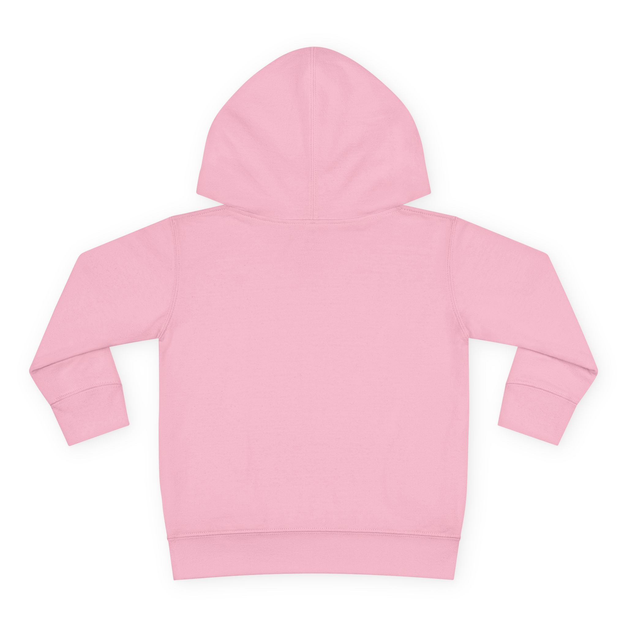 Frosty Party Toddler Pullover Fleece Hoodie