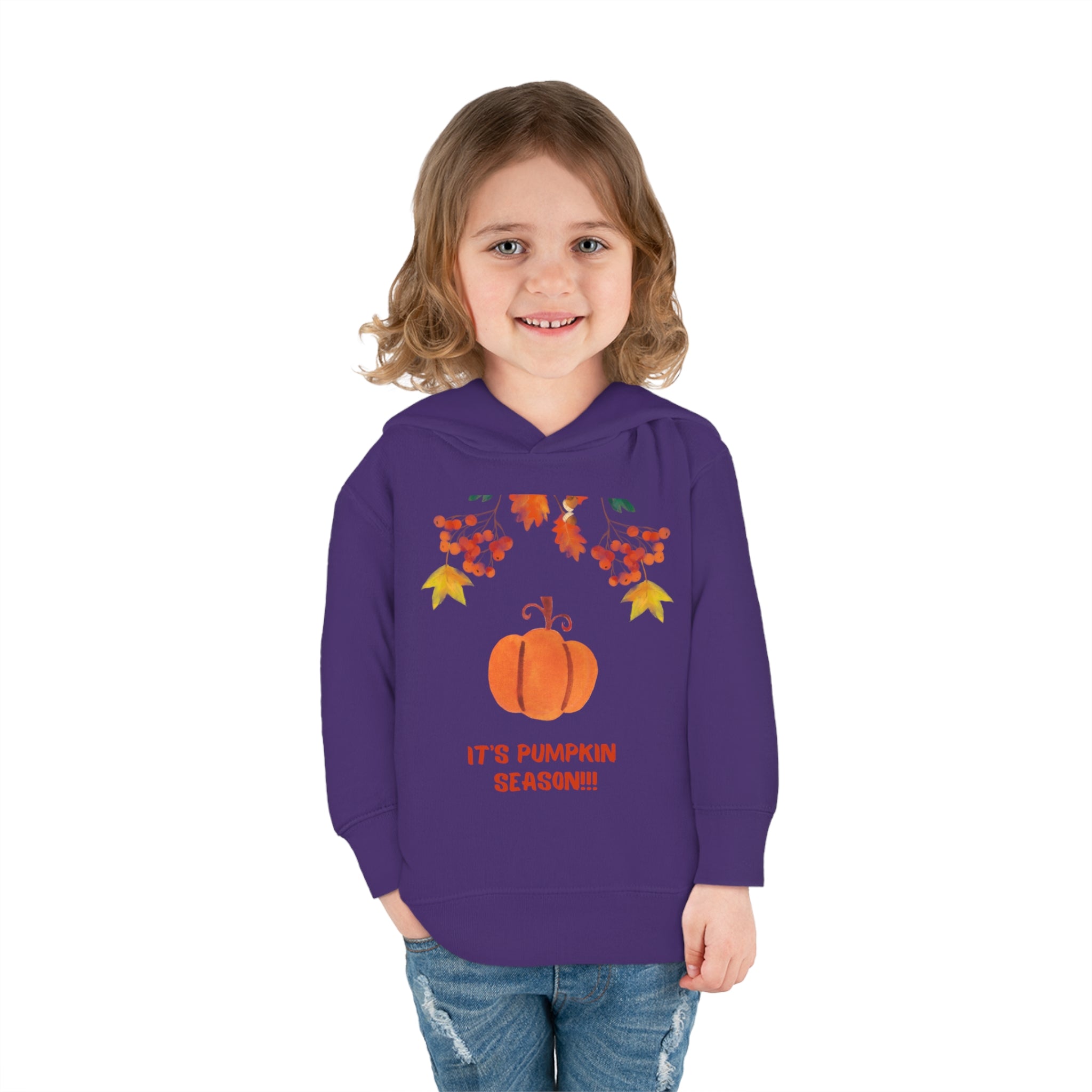 Pumpkin Season Toddler Pullover Fleece Hoodie