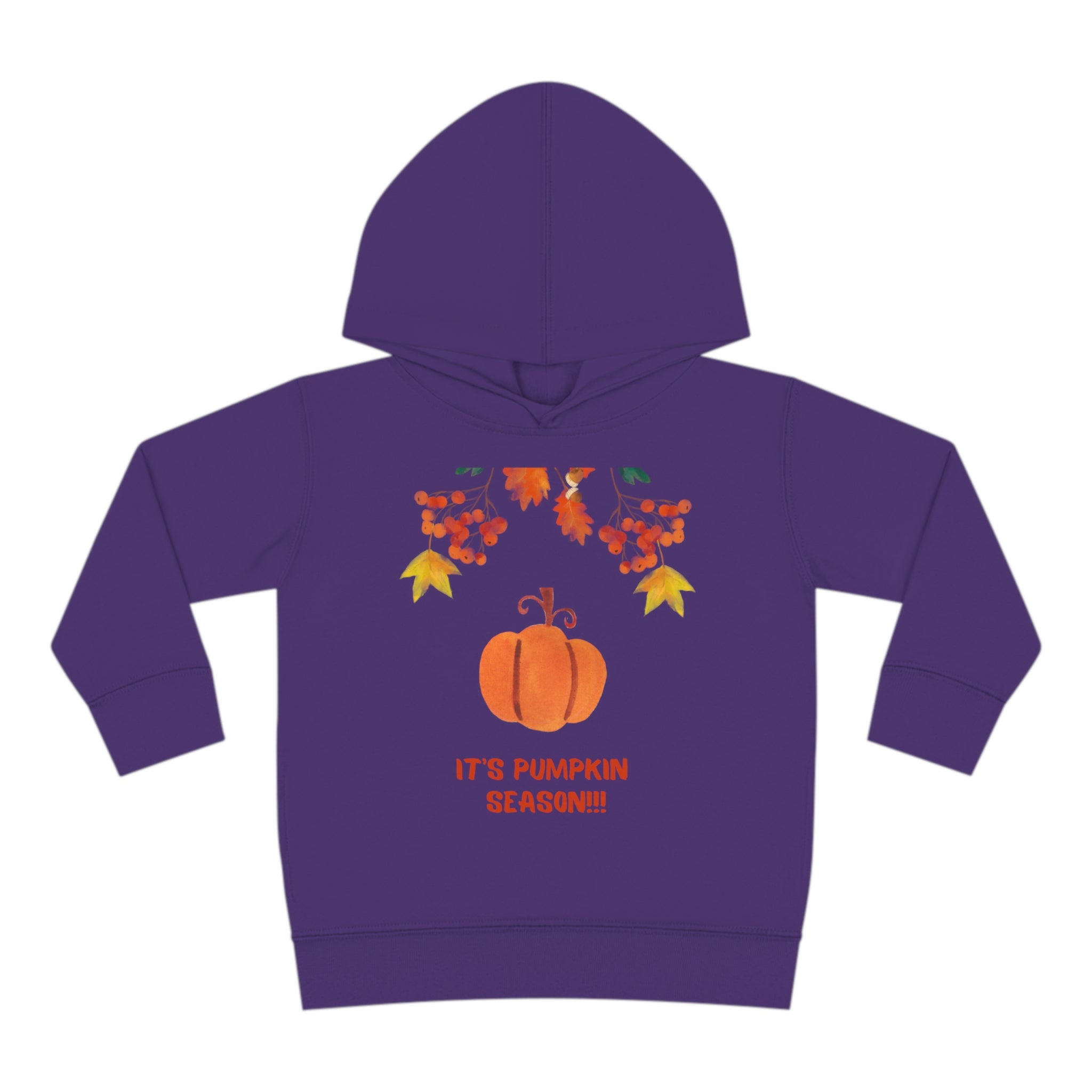 Pumpkin Season Toddler Pullover Fleece Hoodie