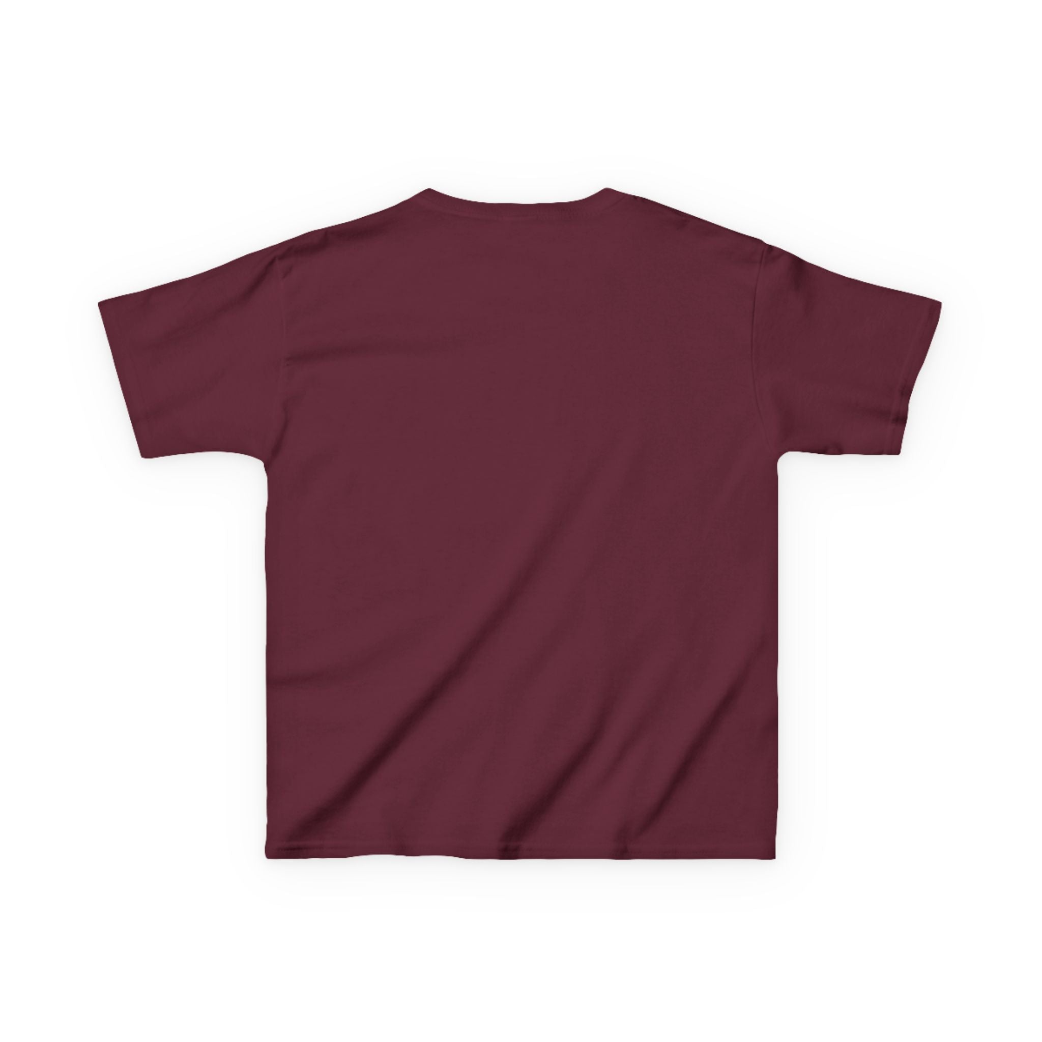 Gnome 4th of July Tee Shirt