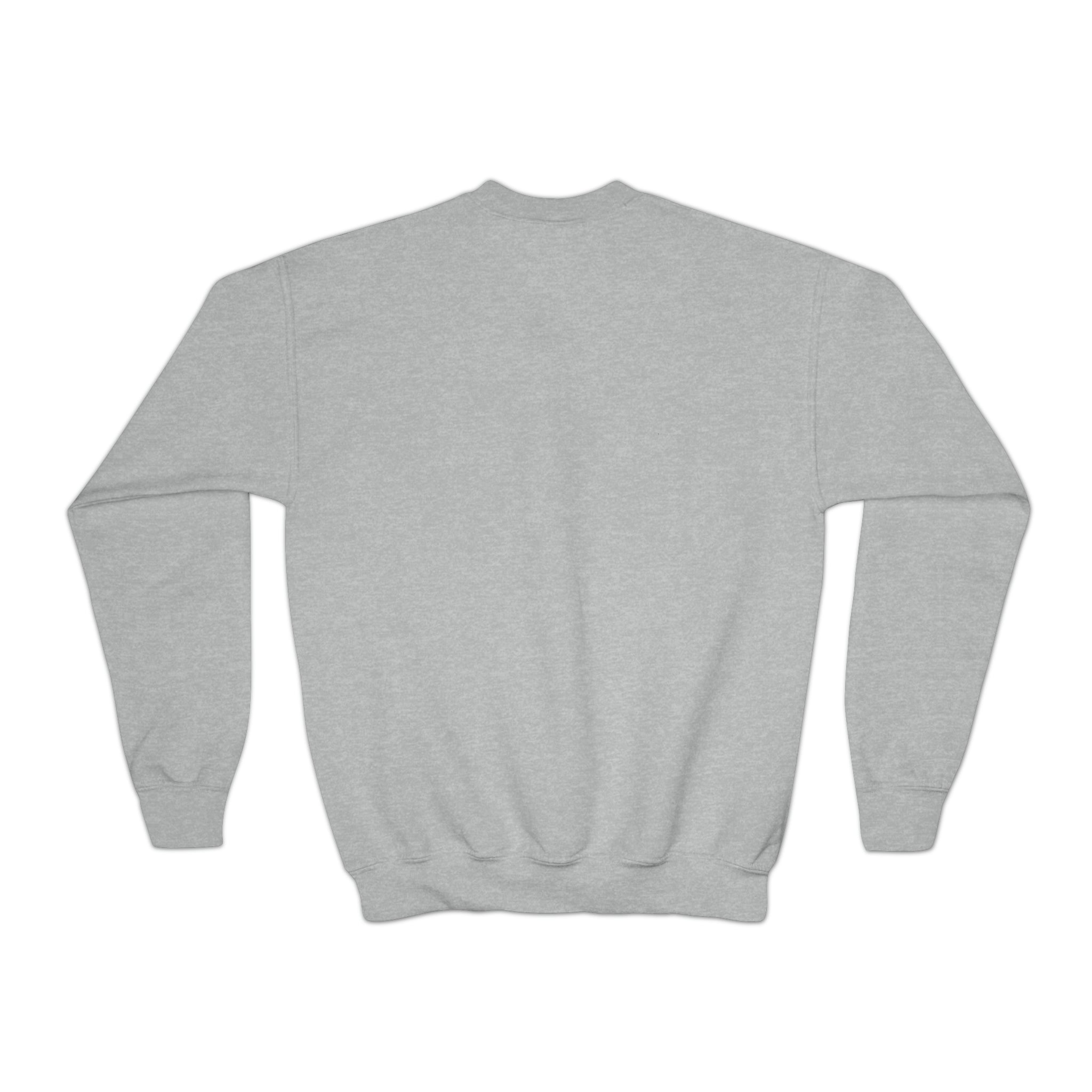 Trick or Treat Youth Crewneck Sweatshirt