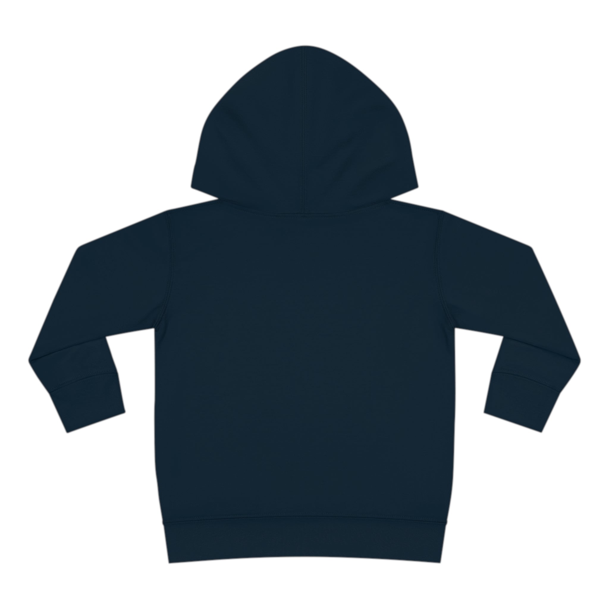 Back To School Toddler Pullover Fleece Hoodie