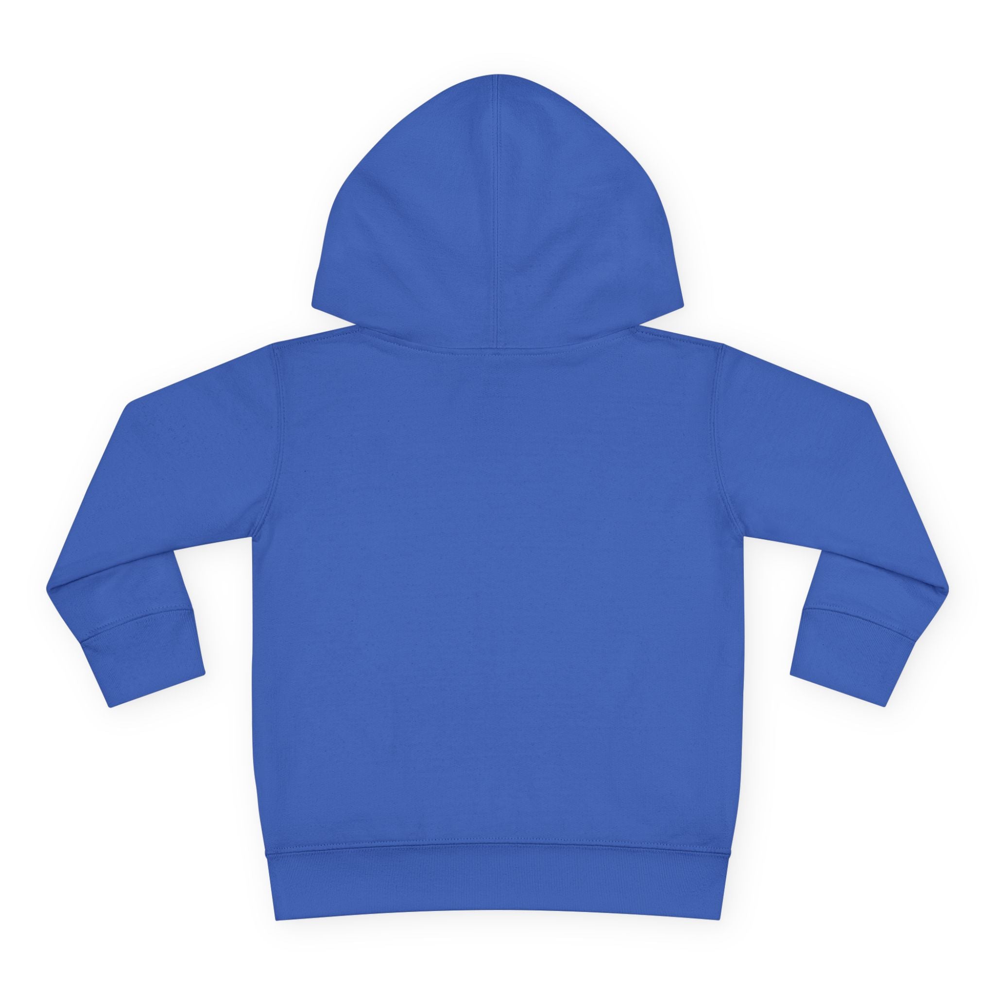 Frosty Party Toddler Pullover Fleece Hoodie