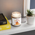 Hello Autumn Scented Candles, 9oz