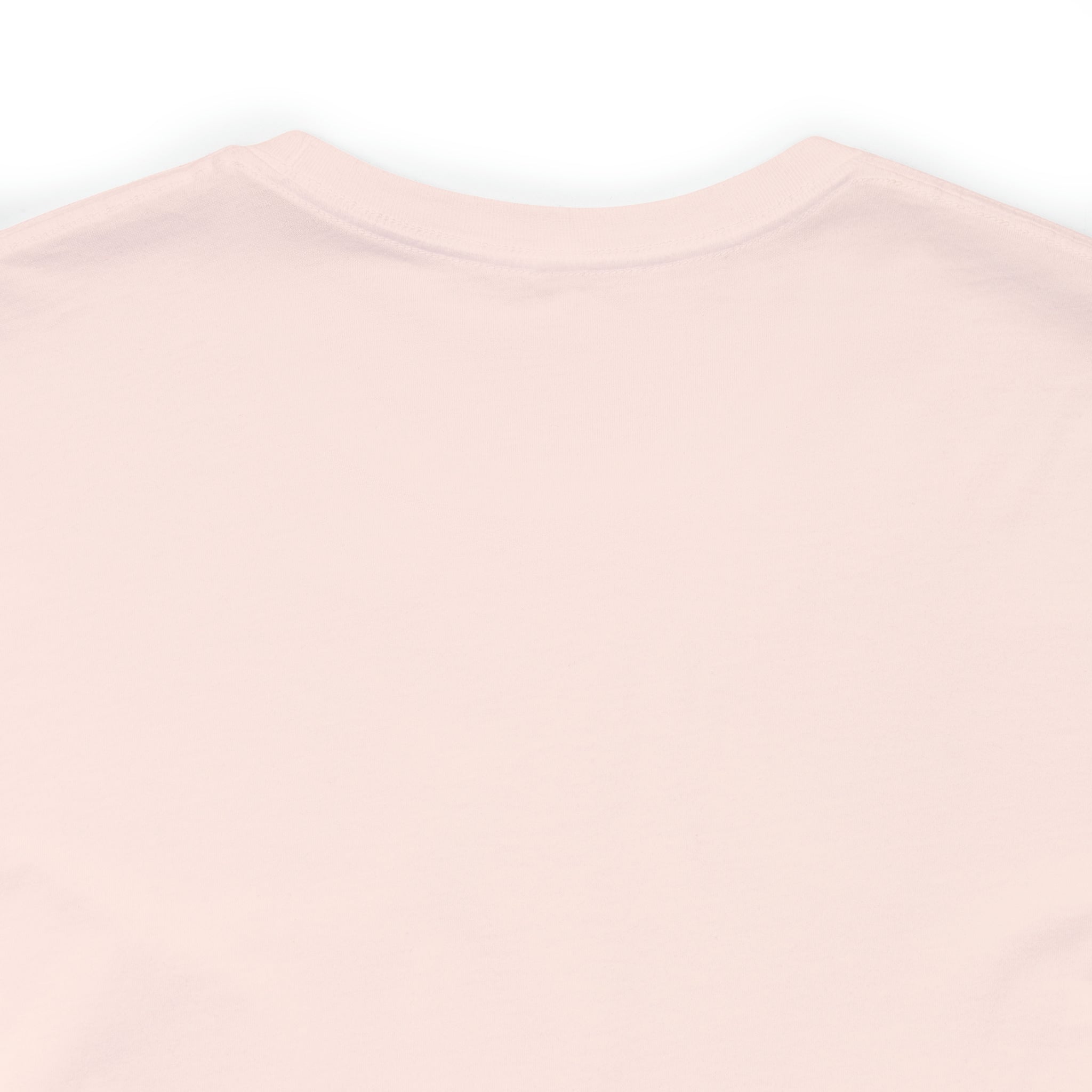 Land Of The Free Home Of The Brave Unisex Jersey Short Sleeve Tee