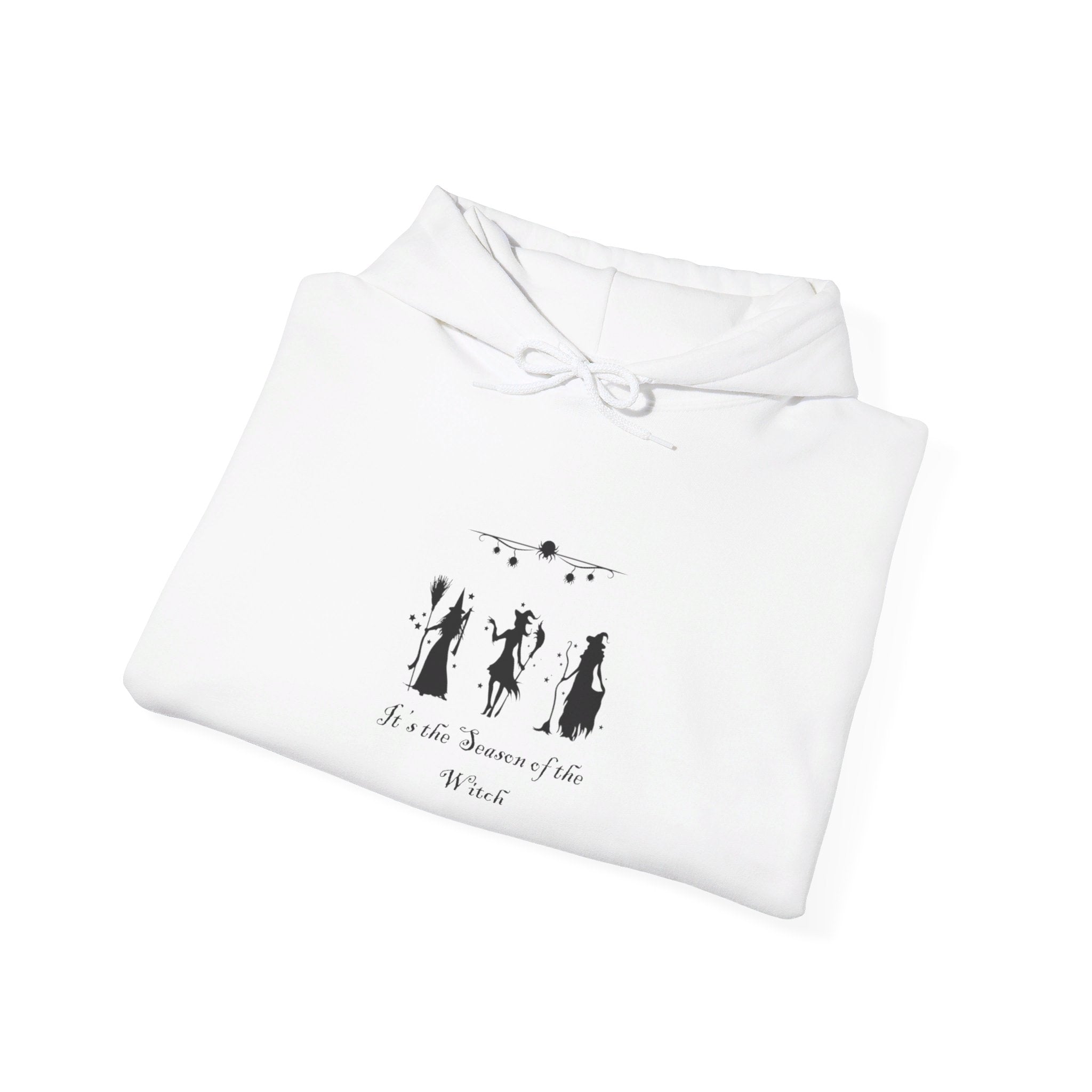 It's The Season of the Witch Unisex Heavy Blend™ Hooded Sweatshirt