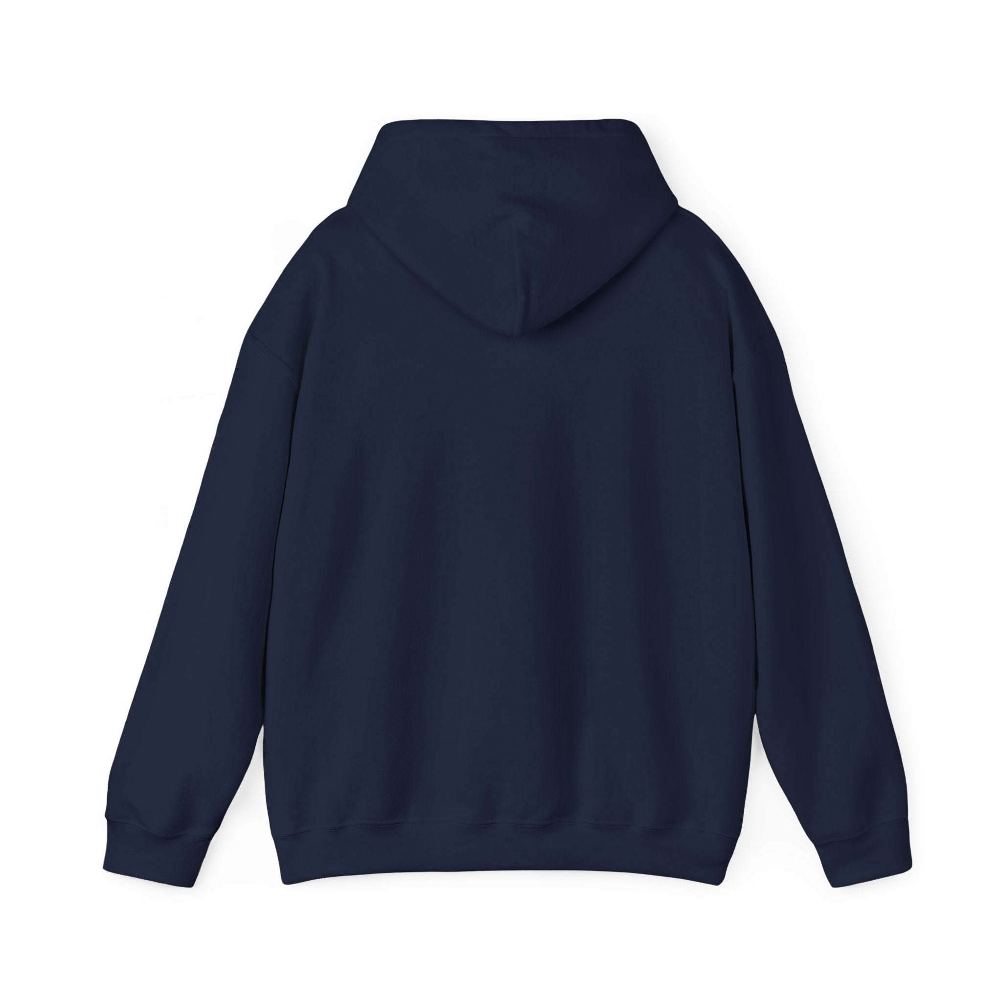 Gnome Memorial Day Hooded Sweatshirt
