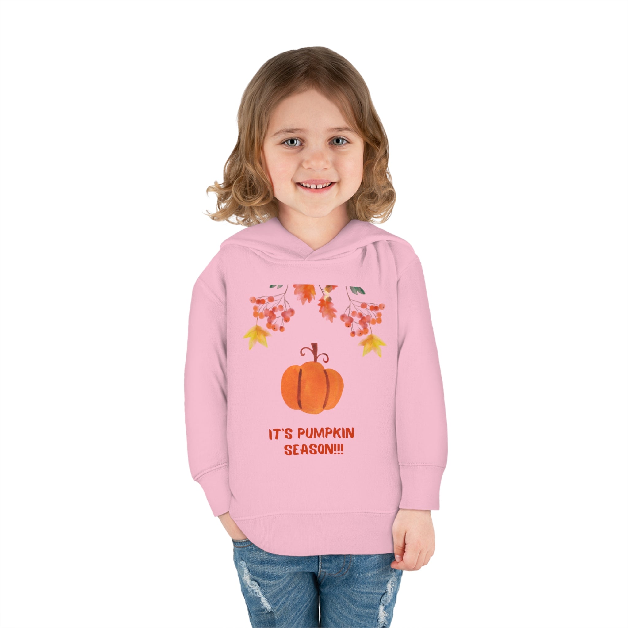 Pumpkin Season Toddler Pullover Fleece Hoodie