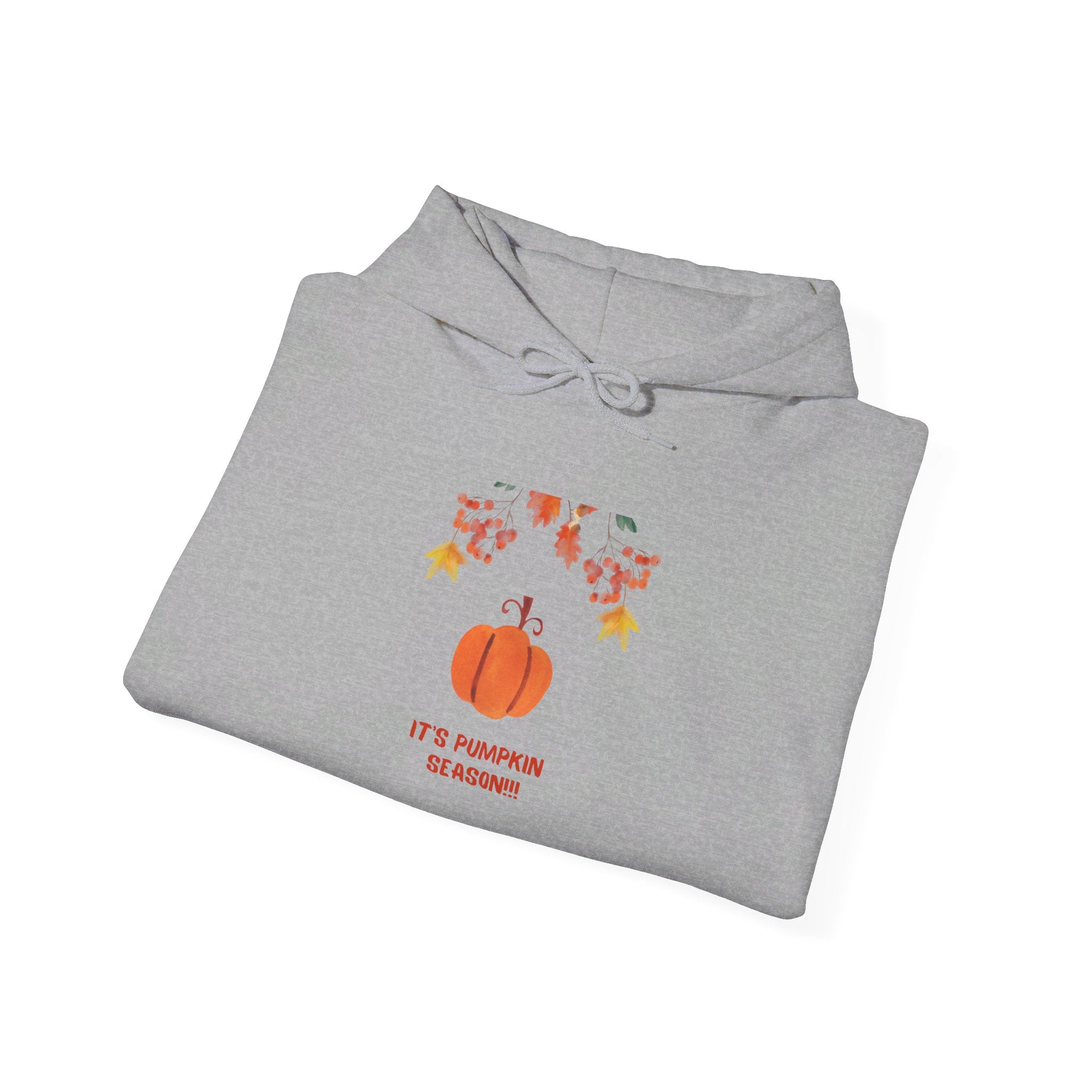 Pumpkin Season Unisex Heavy Blend™ Hooded Sweatshirt