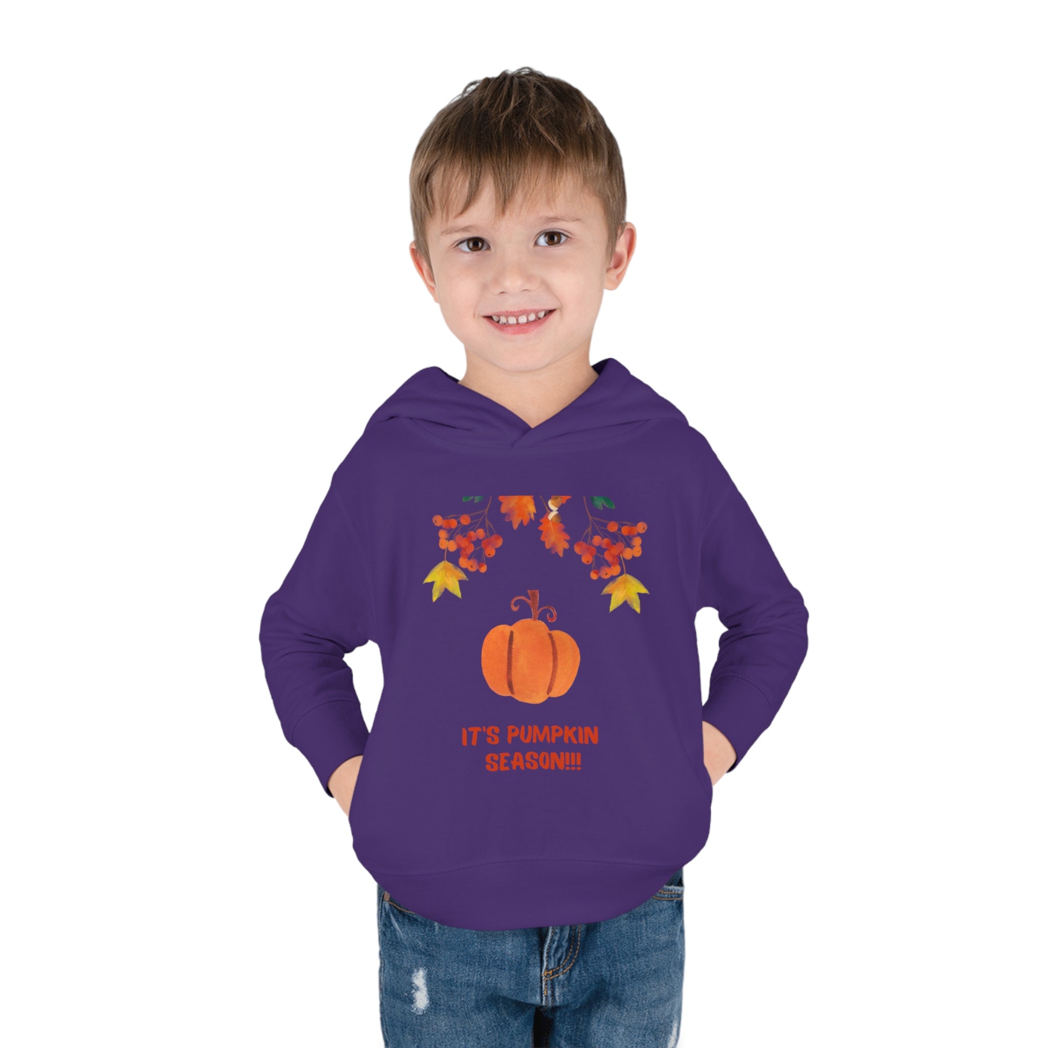 Pumpkin Season Toddler Pullover Fleece Hoodie