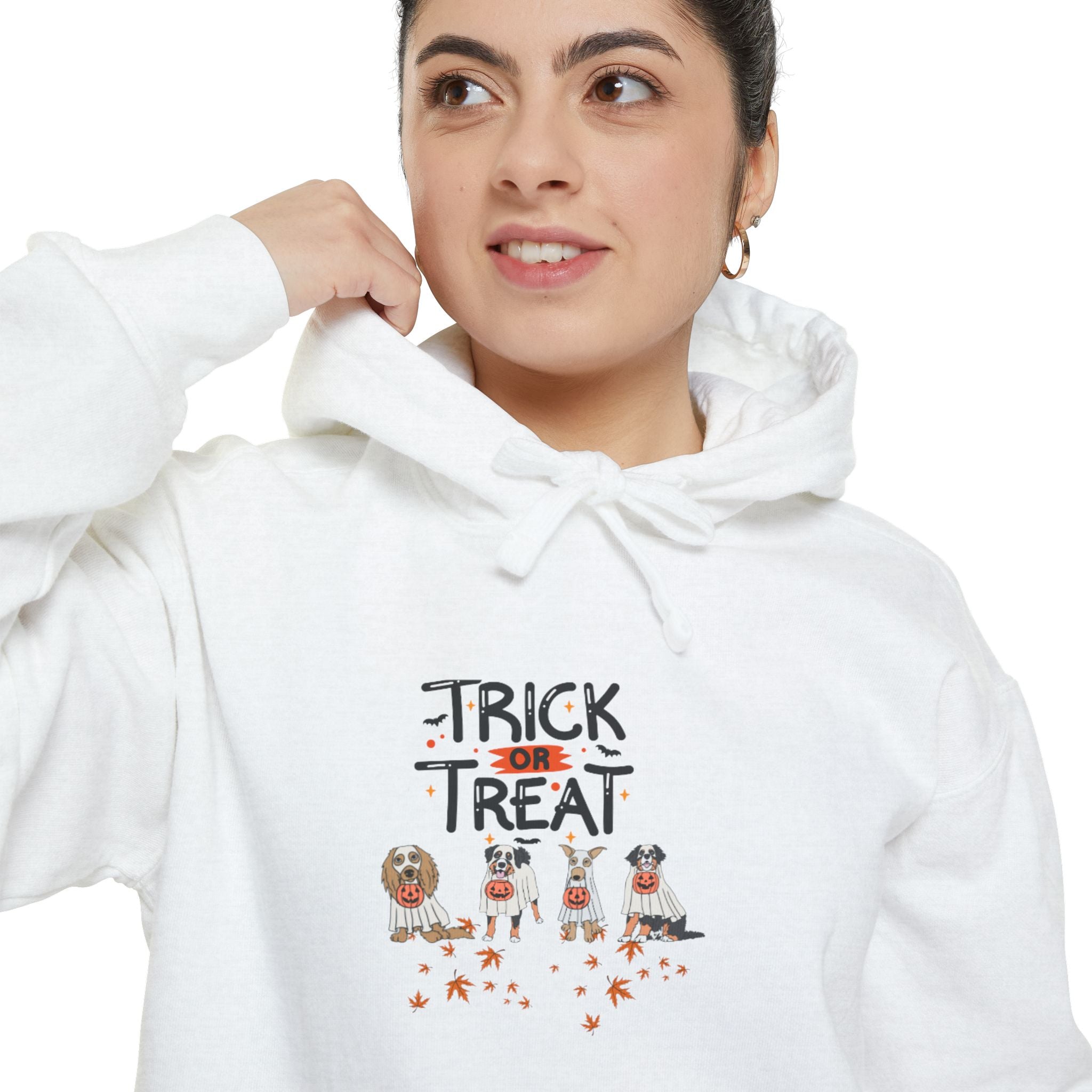 Pooch Trick or Treat Unisex Garment-Dyed Hoodie