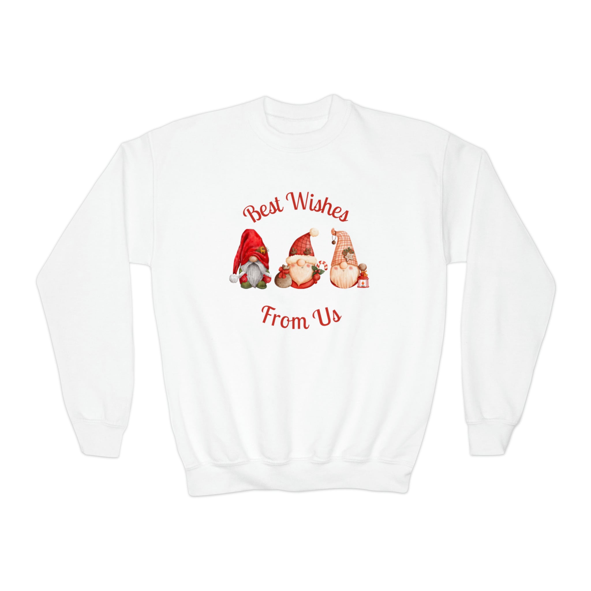 Gnome Best Wishes Youth Crewneck Sweatshirt