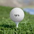 Happy Father's Day Golf Balls, 6pcs