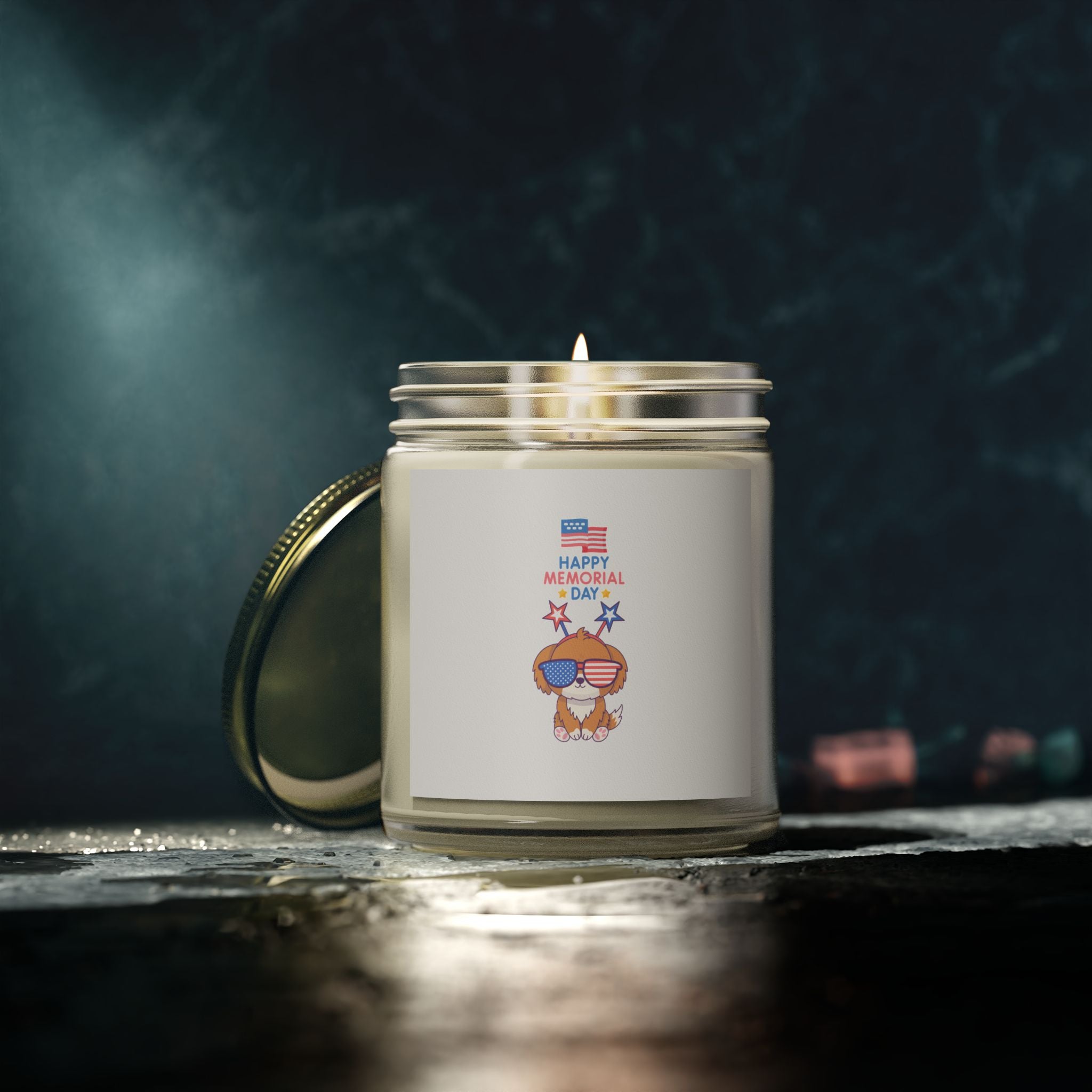 A Day To Remember Scented Candle - Coconut Apricot Wax (4oz, 9oz)