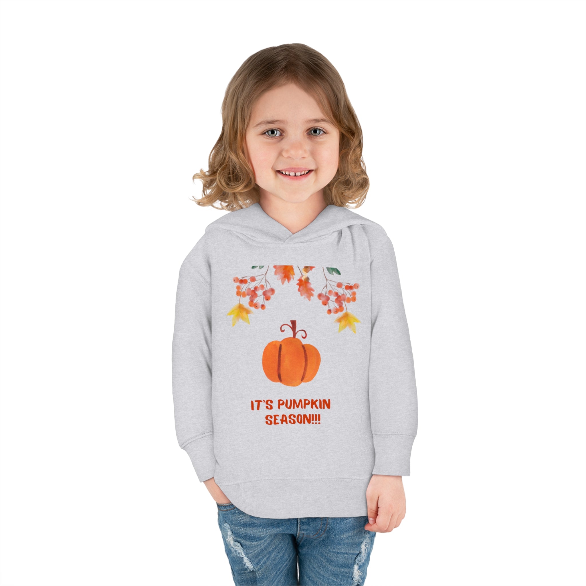 Pumpkin Season Toddler Pullover Fleece Hoodie