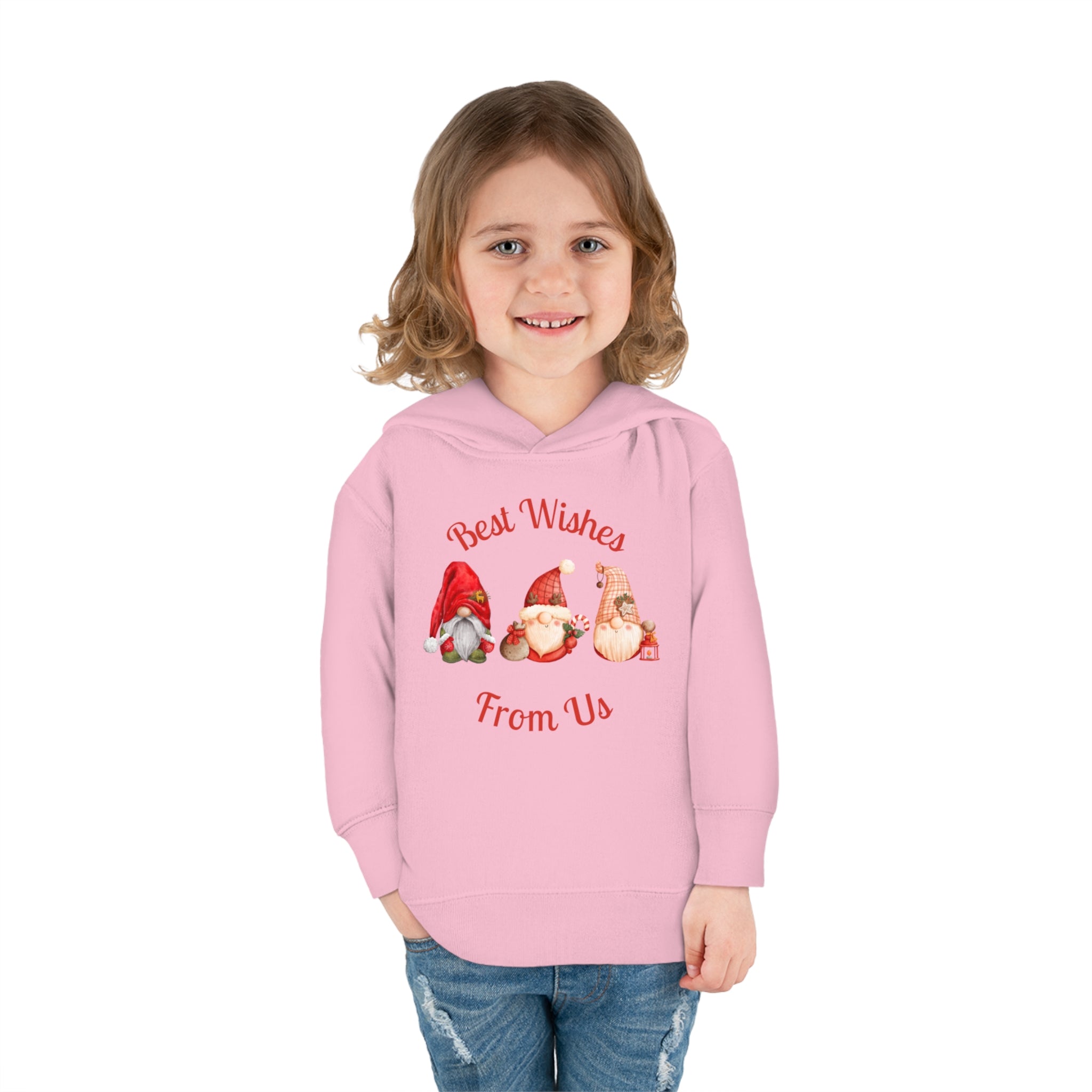 Gnome Best Wishes Toddler Pullover Fleece Hoodie