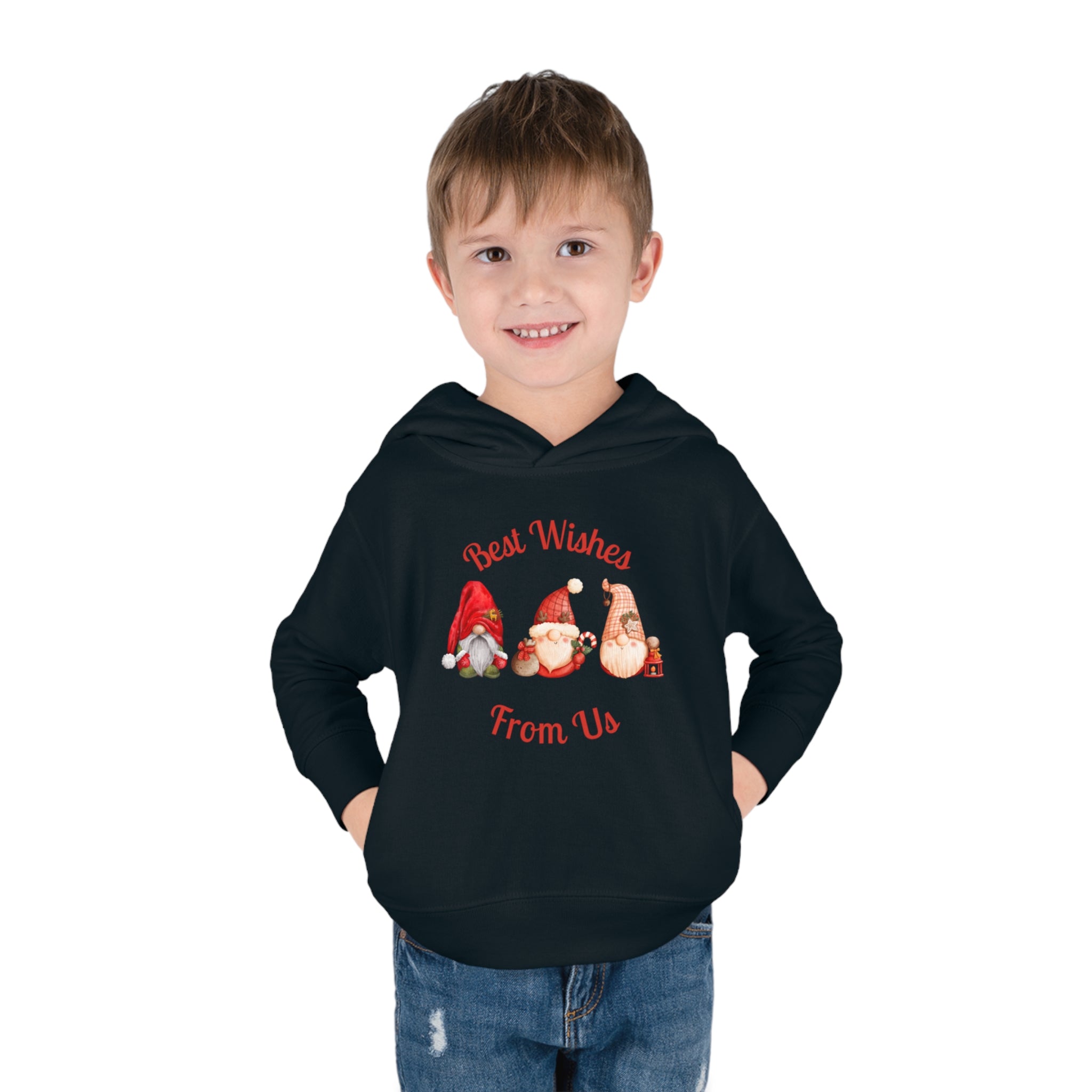 Gnome Best Wishes Toddler Pullover Fleece Hoodie
