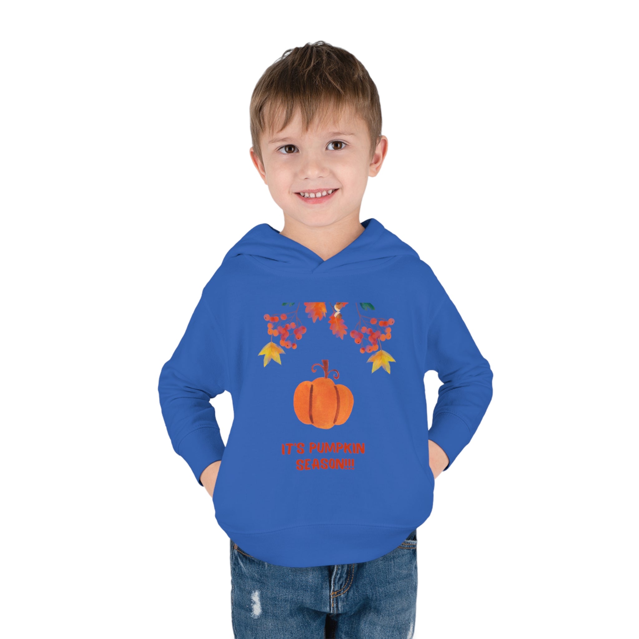 Pumpkin Season Toddler Pullover Fleece Hoodie