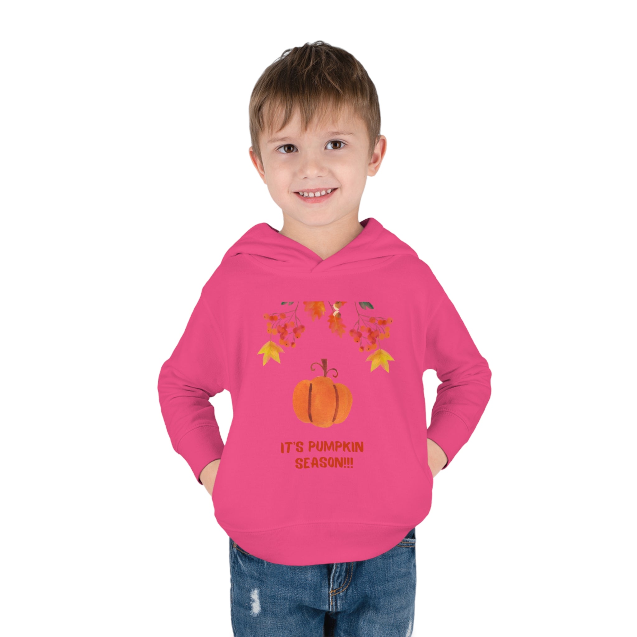 Pumpkin Season Toddler Pullover Fleece Hoodie