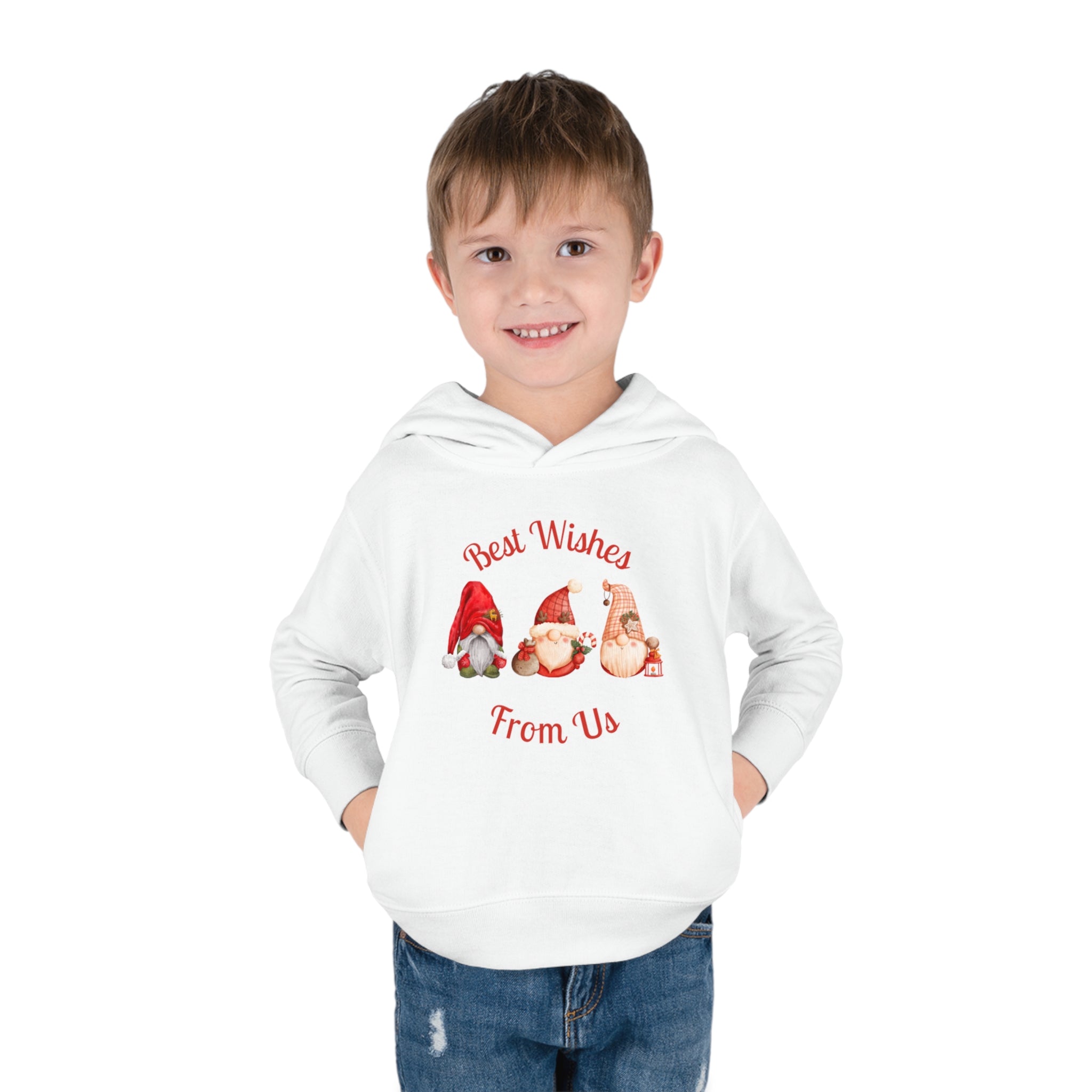 Gnome Best Wishes Toddler Pullover Fleece Hoodie