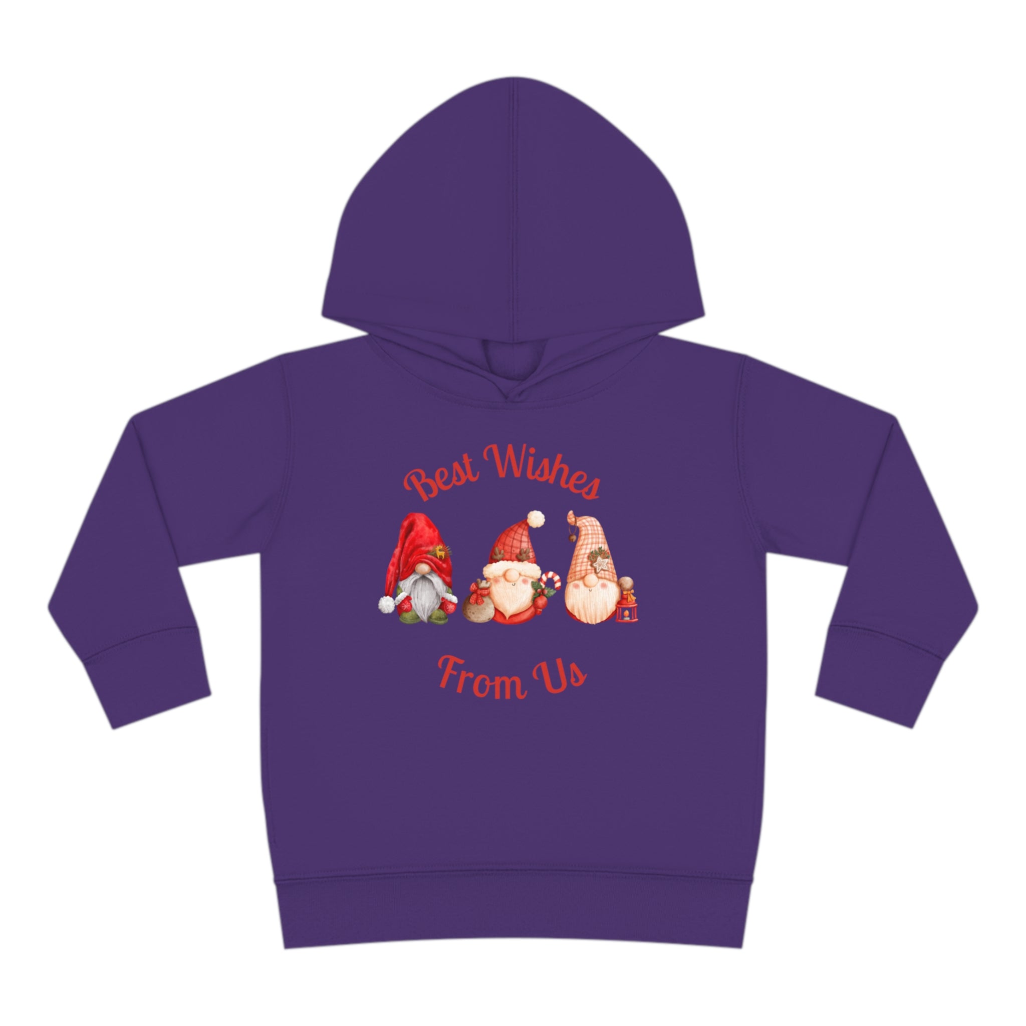 Gnome Best Wishes Toddler Pullover Fleece Hoodie