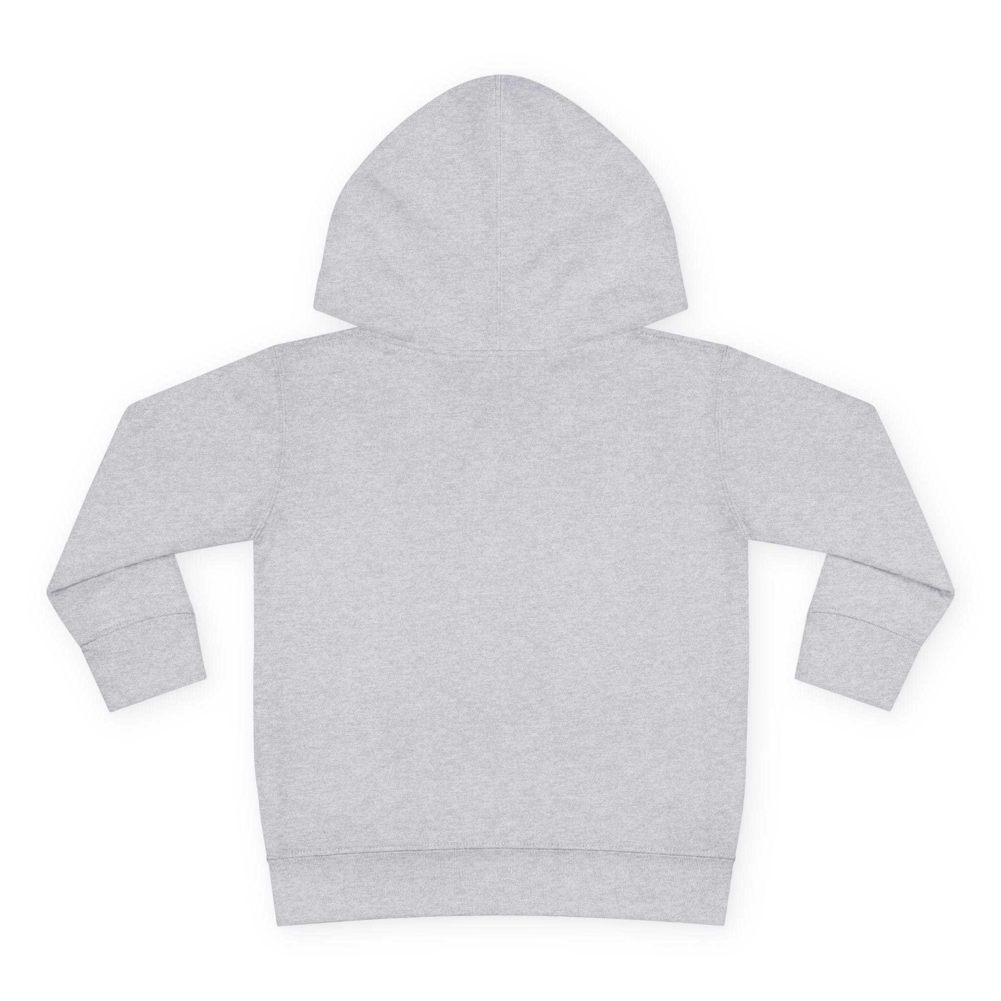 Frosty Party Toddler Pullover Fleece Hoodie