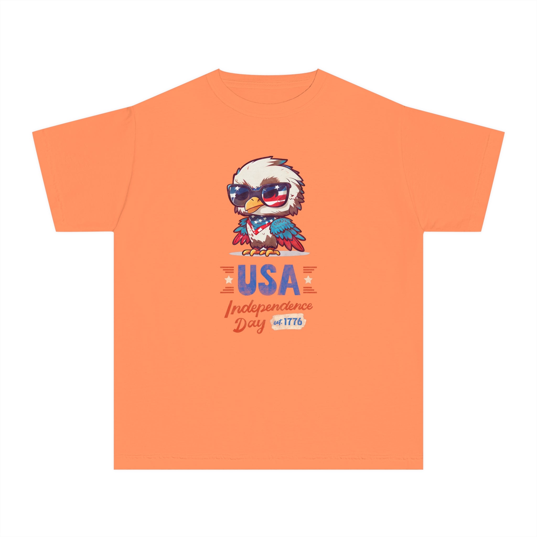 USA Independence Day Youth Midweight Tee