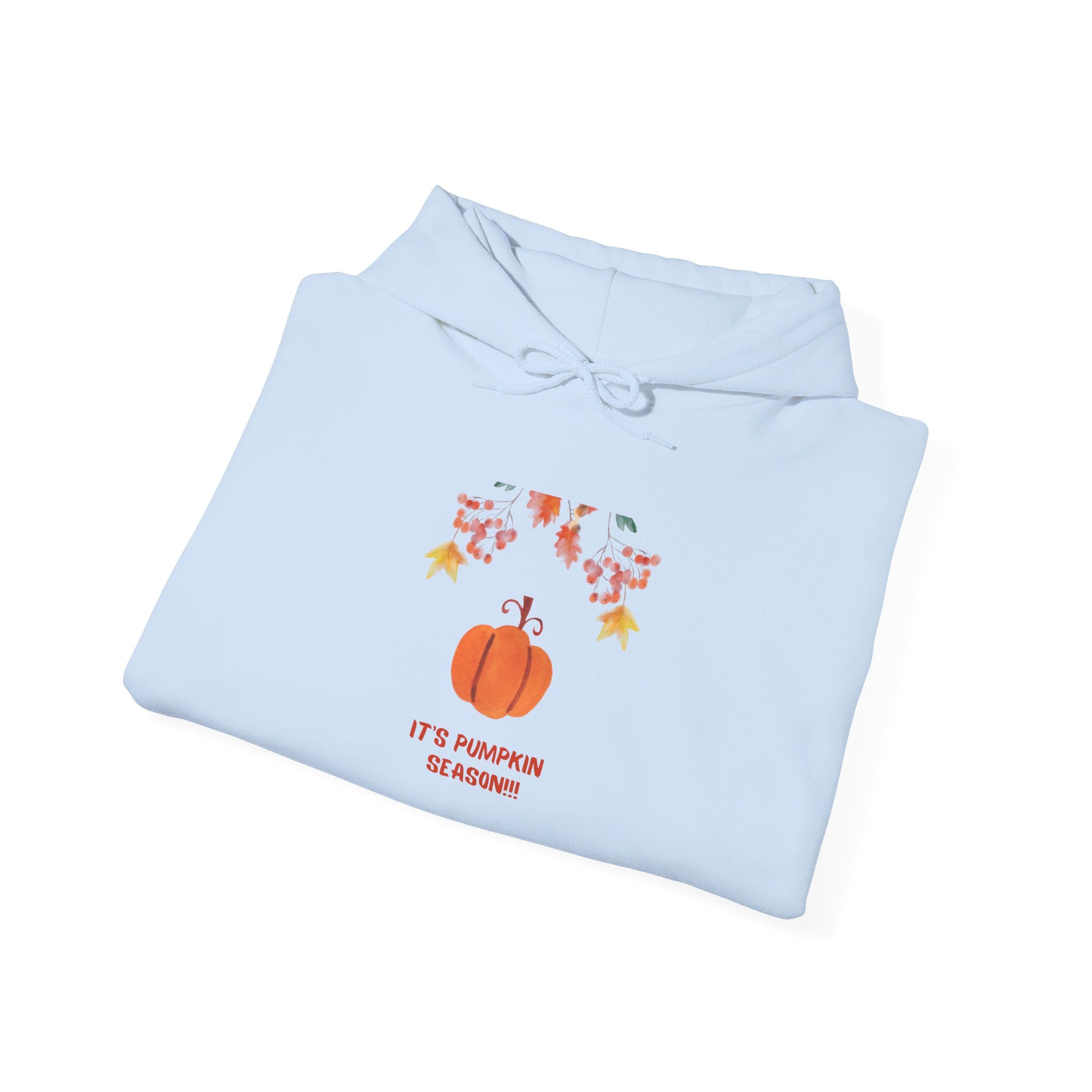 Pumpkin Season Unisex Heavy Blend™ Hooded Sweatshirt