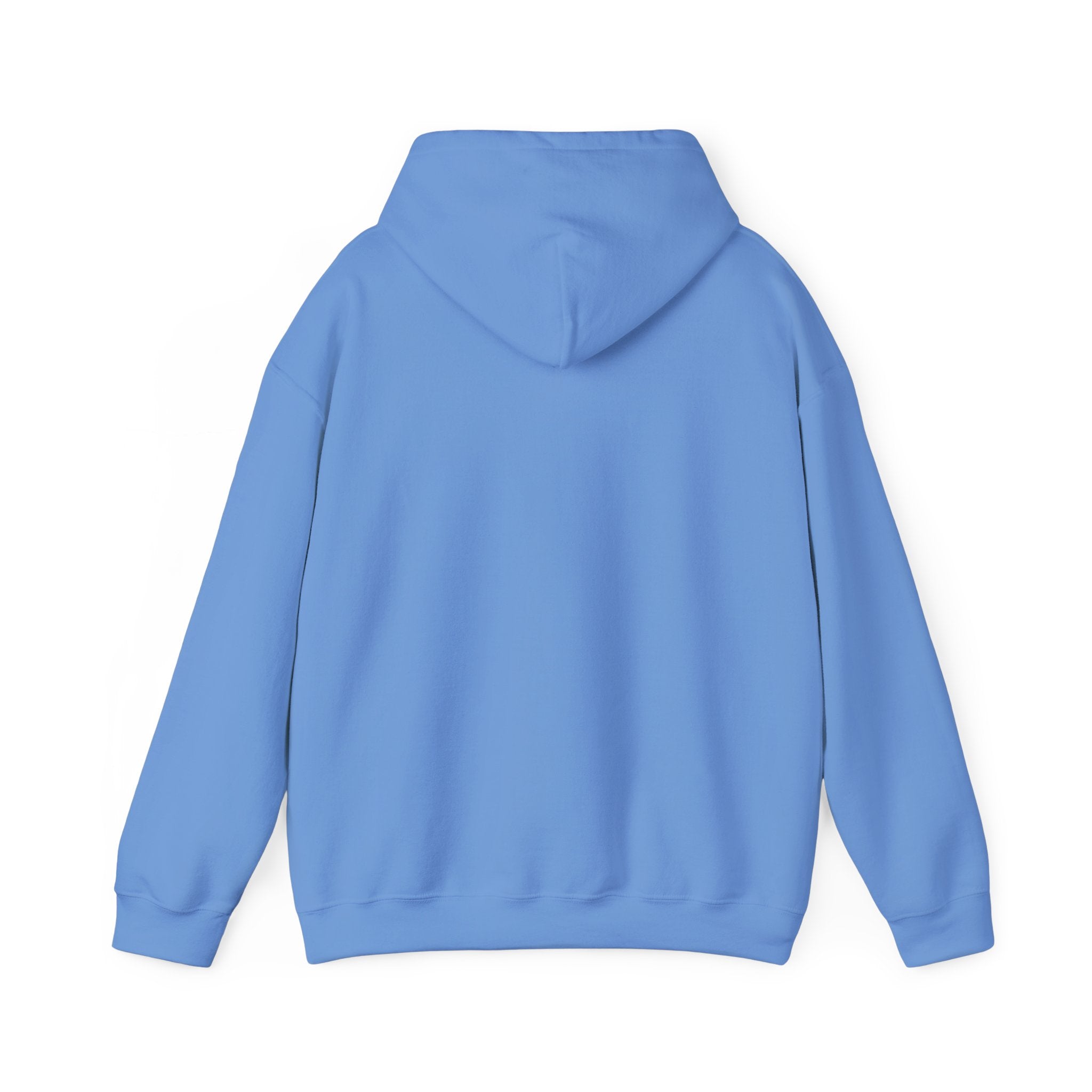 Retro St. Patty's Day Unisex Hooded Sweatshirt