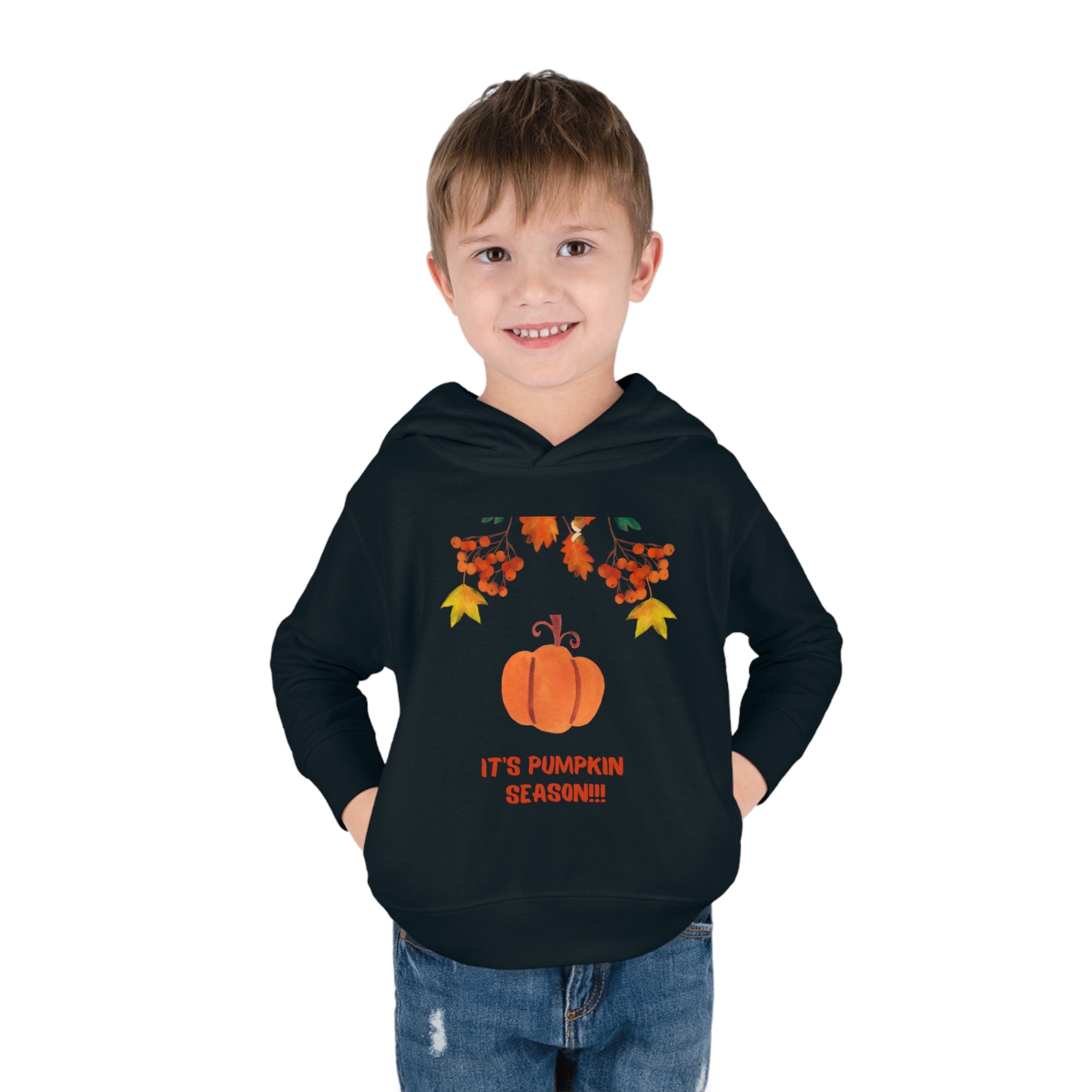 Pumpkin Season Toddler Pullover Fleece Hoodie