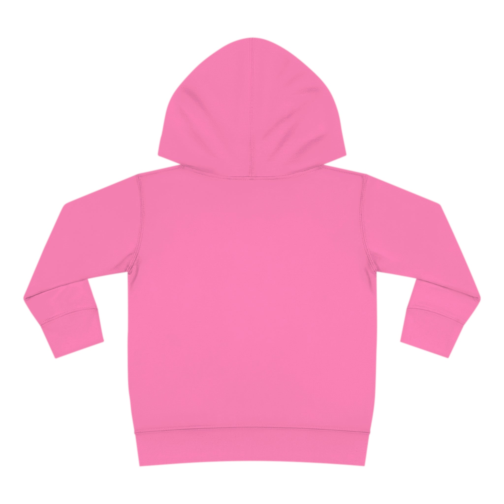 Happy Easter Gnome Toddler Pullover Fleece Hoodie