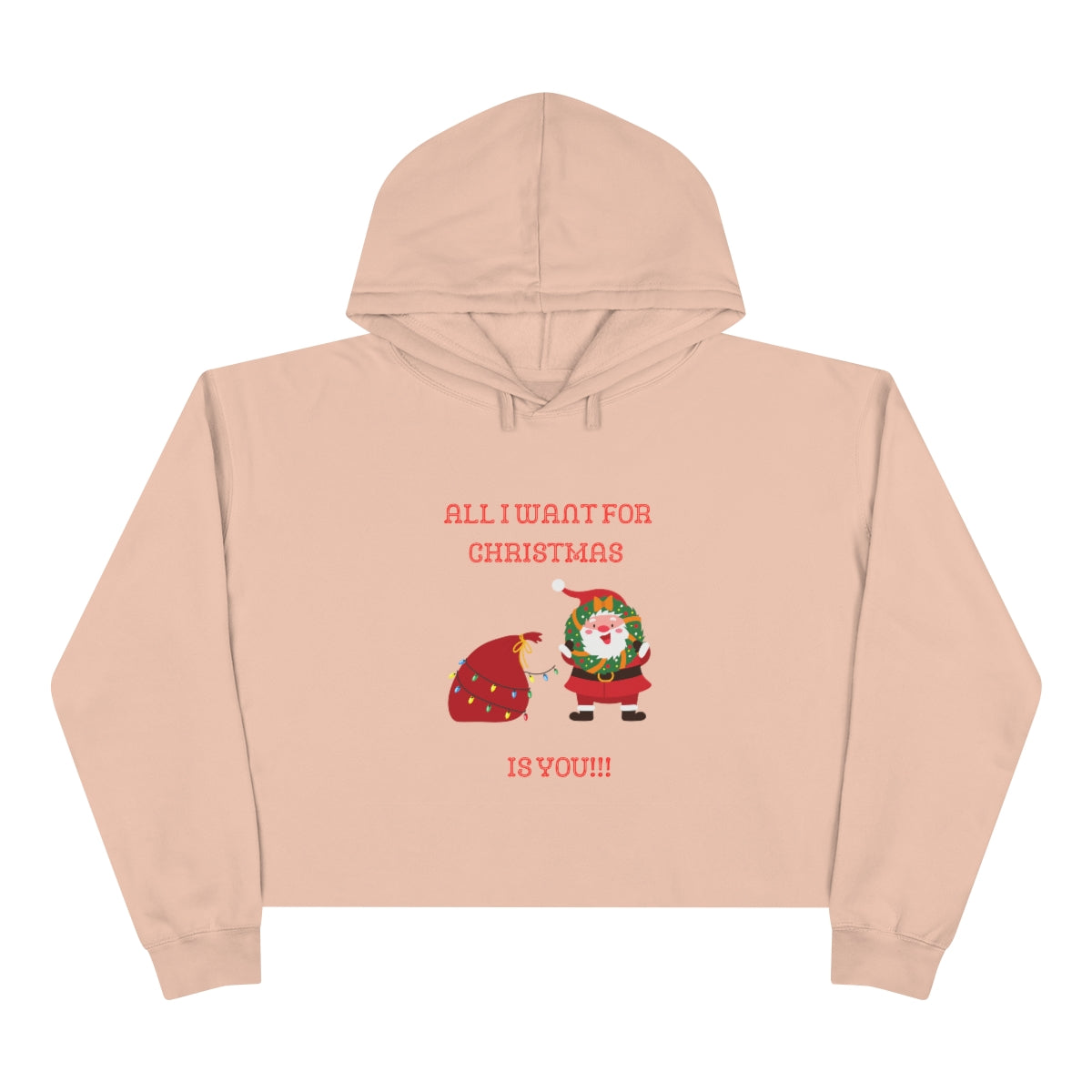 All I Want For Christmas Is You!!! Crop Hoodie