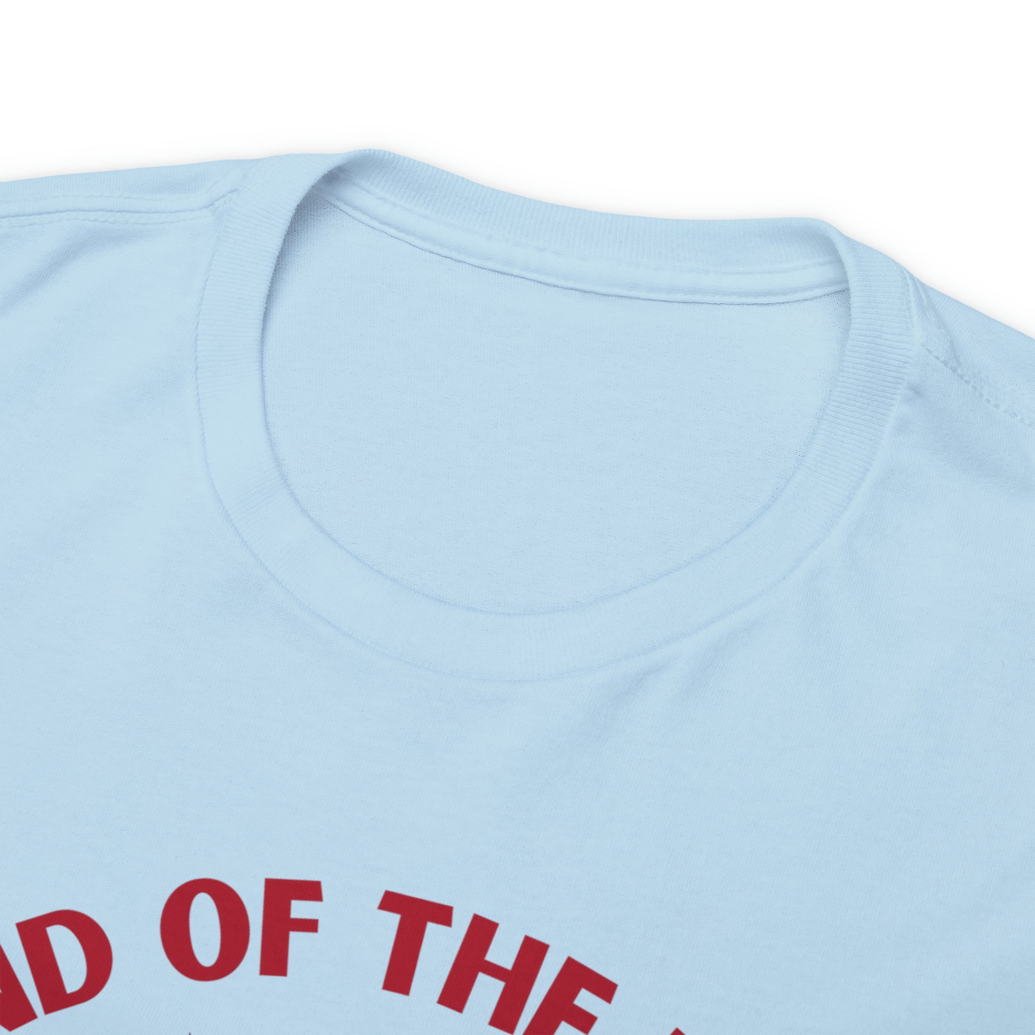 Memorial Day Land of The Free Unisex Heavy Cotton Tee